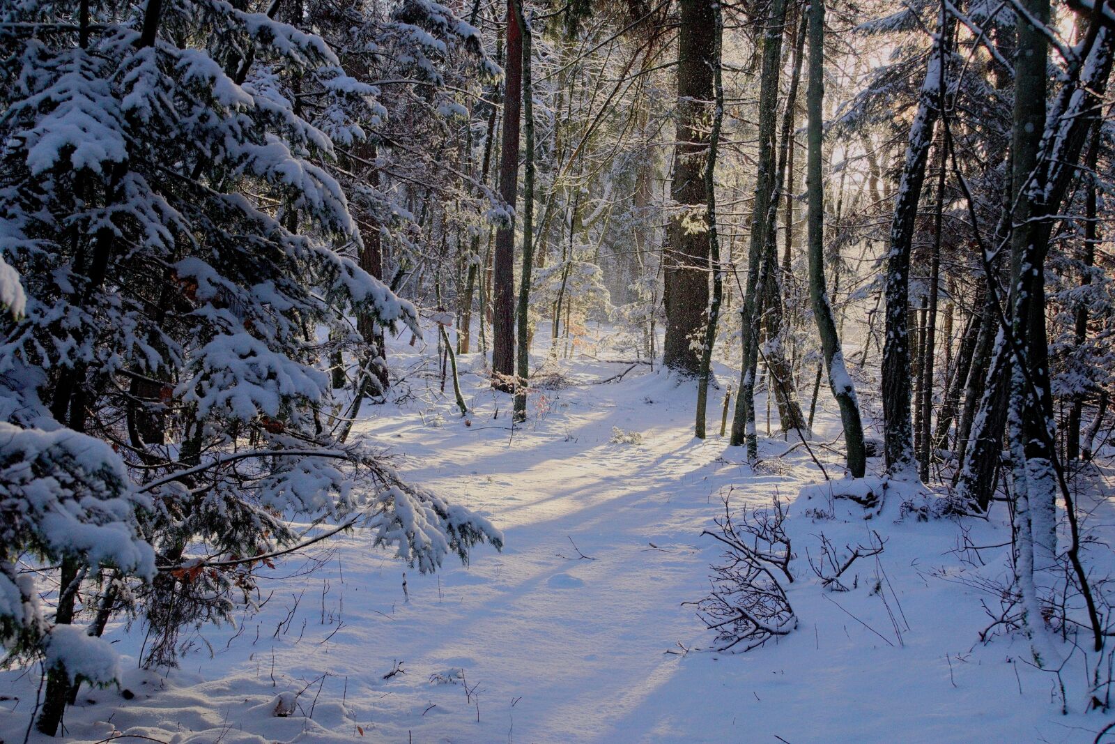 Nikon D3300 sample photo. Winter, snow, view photography