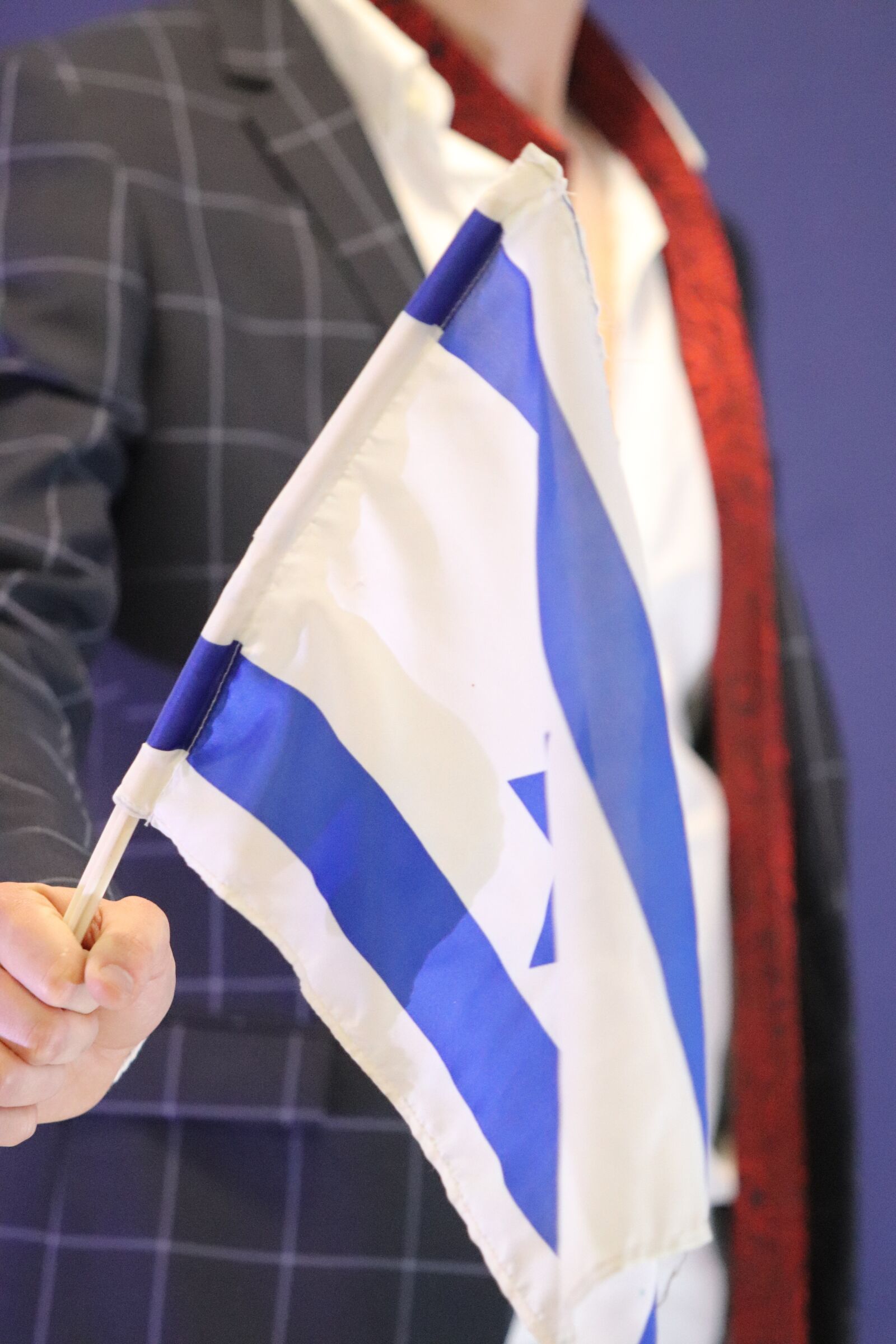 Canon EF 70-200mm F2.8L USM sample photo. Israel, independence day, flag photography