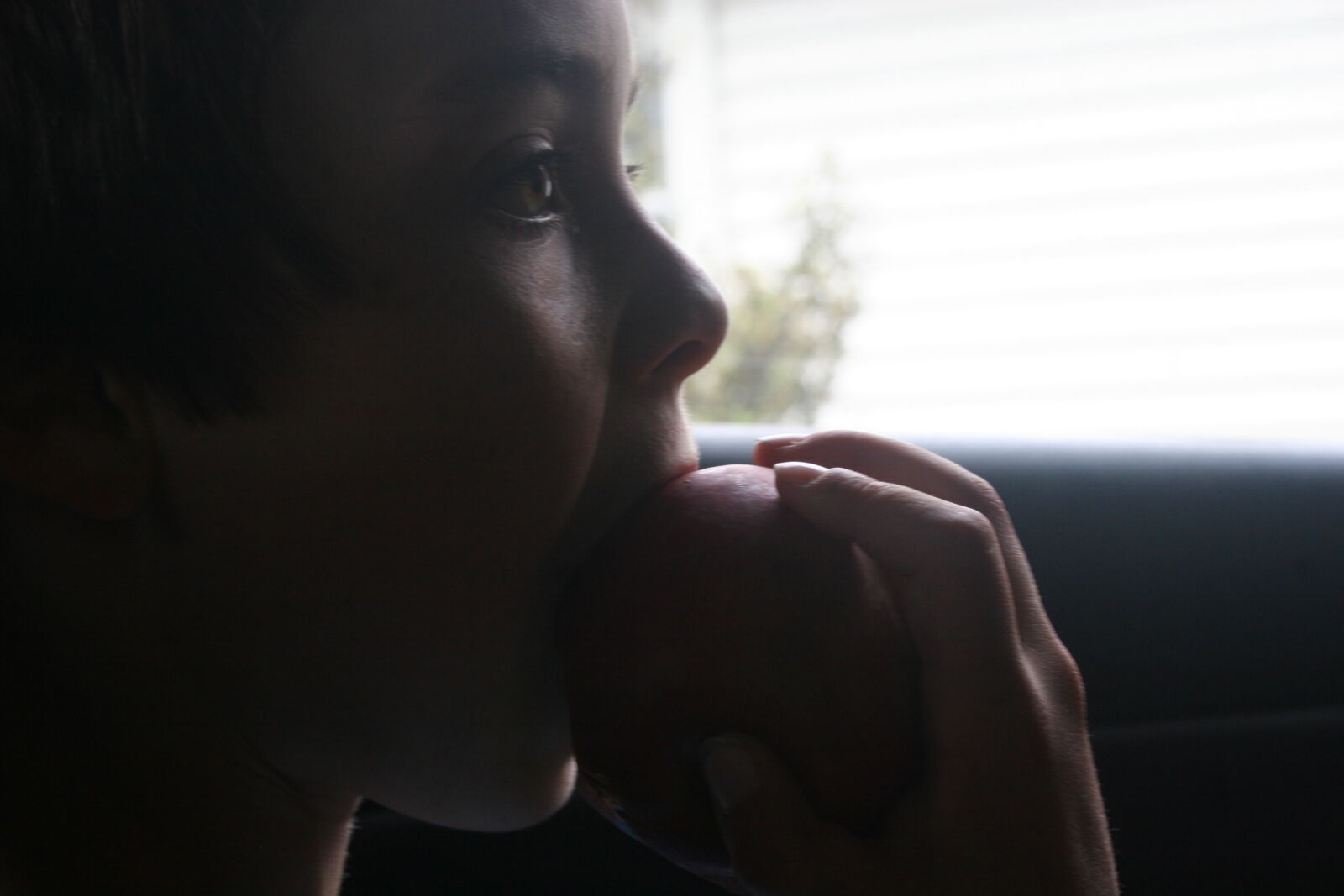 Canon EOS 20D sample photo. Apple, apple, fruit, boy photography
