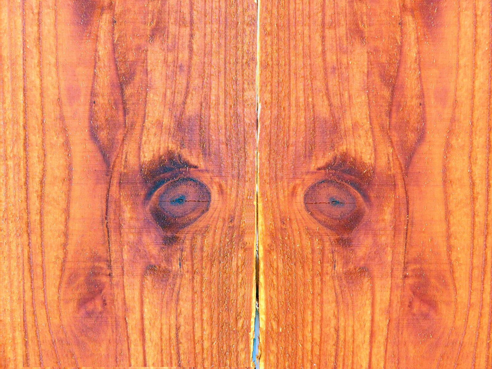 Panasonic Lumix DMC-FZ60 (Lumix DMC-FZ62) sample photo. Wood background, wood, background photography