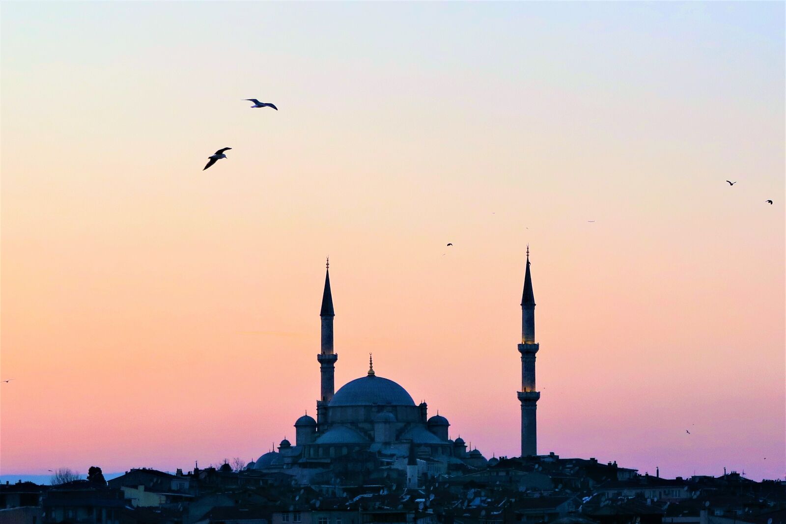 Canon PowerShot G7 X sample photo. Cami, minaret, islam photography