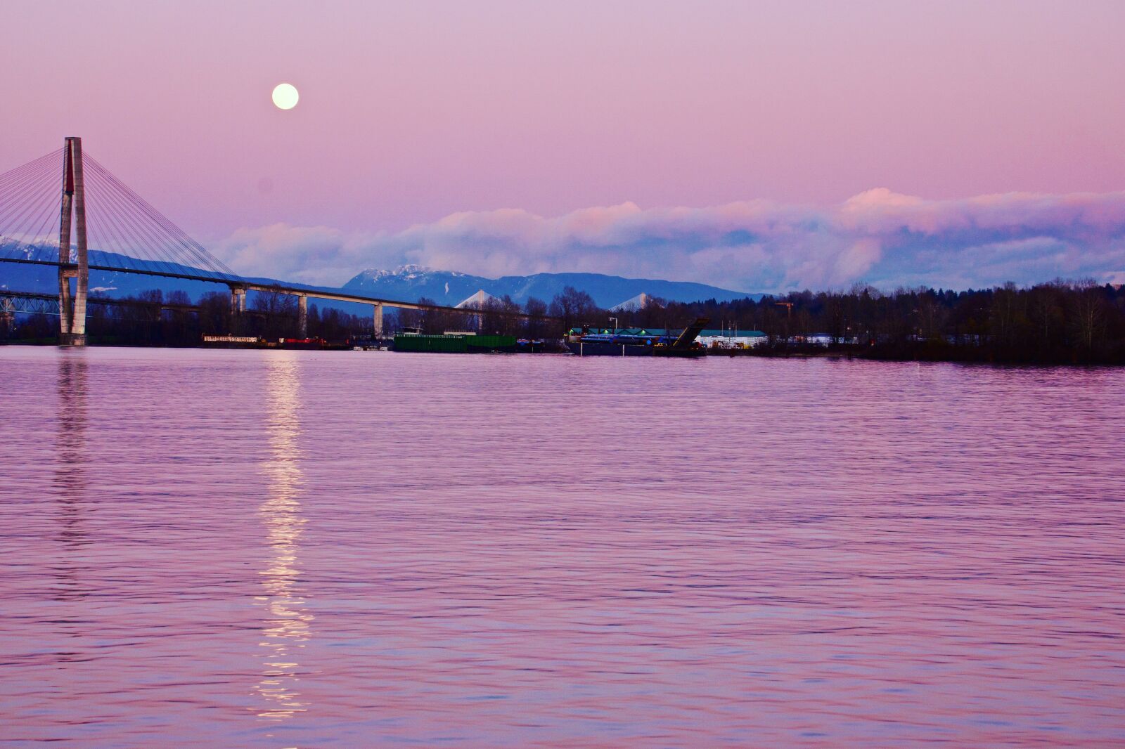 Sony E 55-210mm F4.5-6.3 OSS sample photo. Quayside, new westminster, british photography