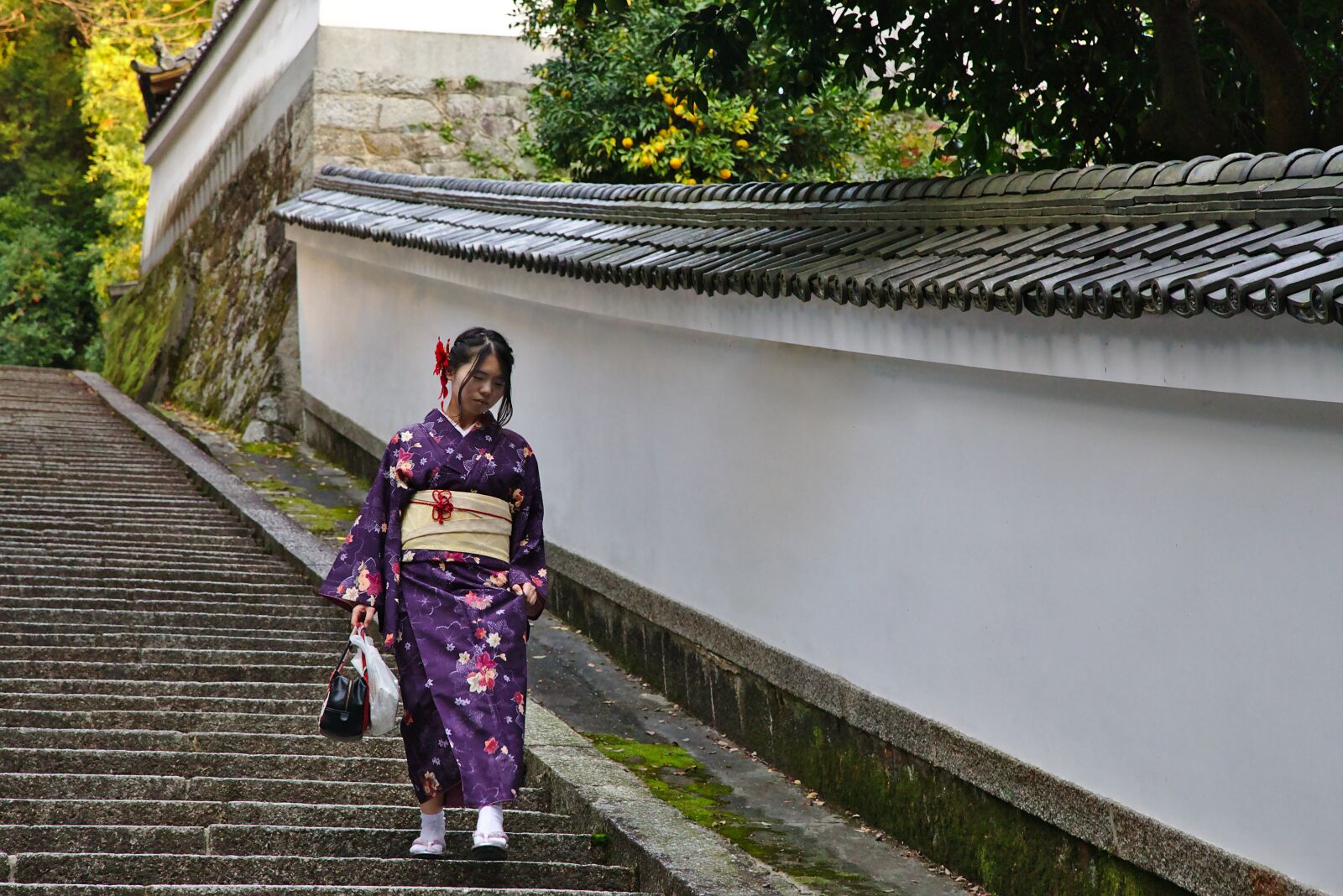 Canon EOS 6D + Canon EF 24-105mm F4L IS USM sample photo. Kyoto, kimono, japan photography
