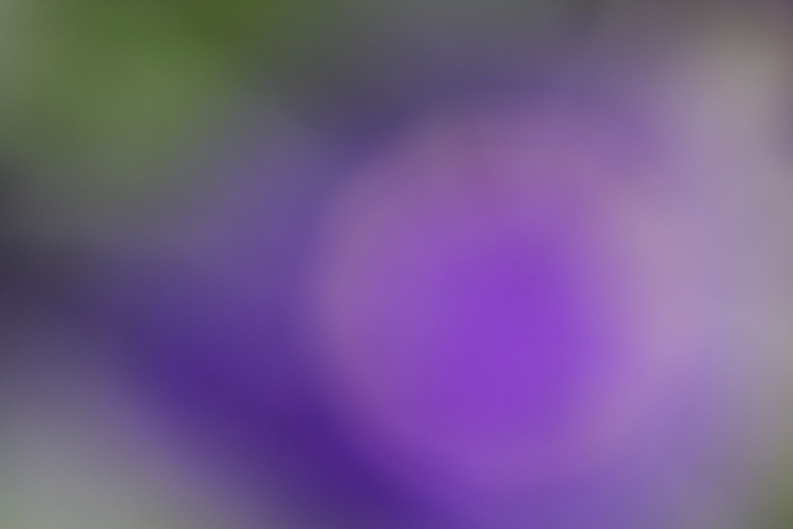 Canon EOS 60D sample photo. Blur, background, abstract photography