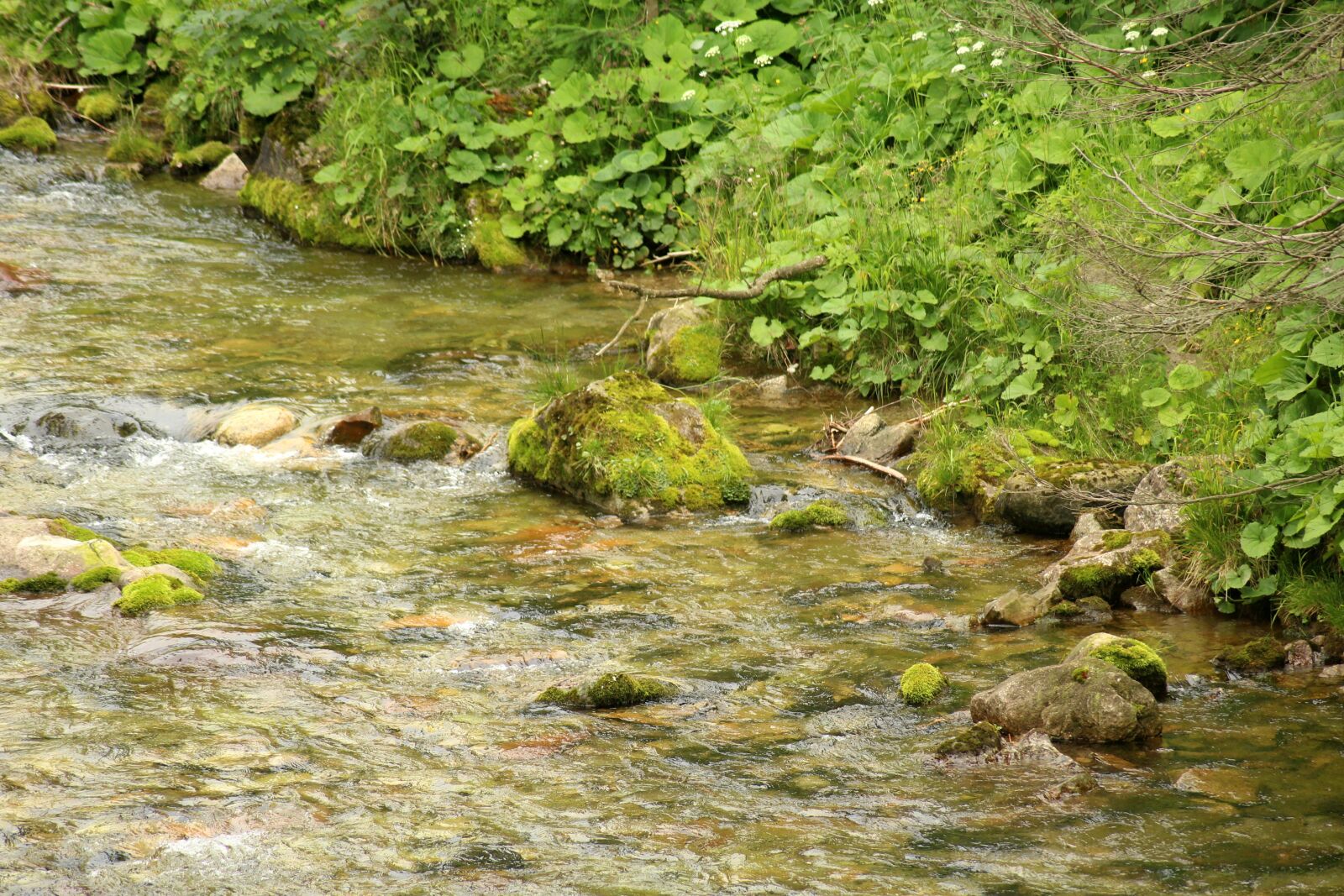 Canon EOS 1200D (EOS Rebel T5 / EOS Kiss X70 / EOS Hi) sample photo. Torrent, mountains, mountain stream photography