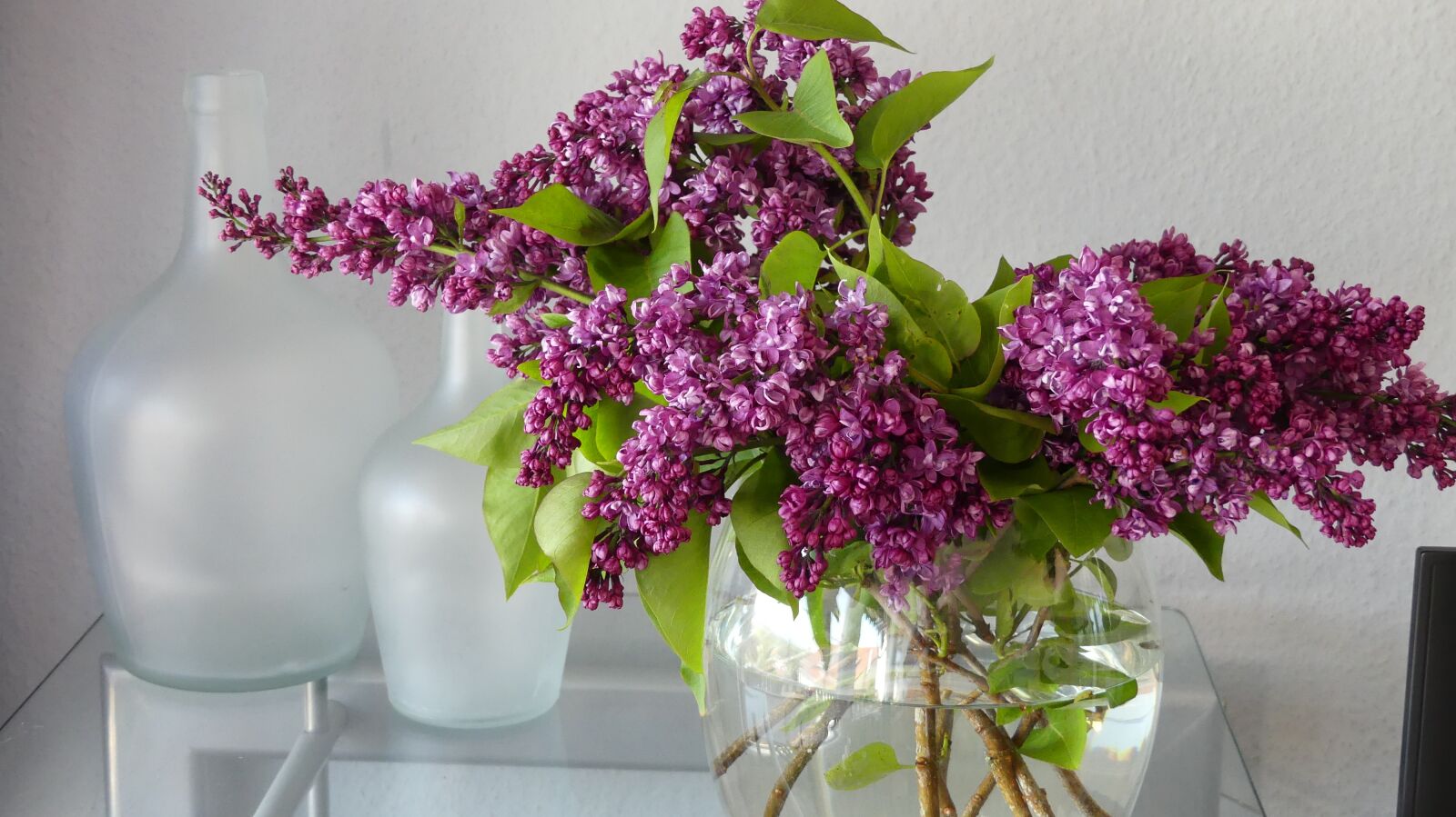 Panasonic Lumix DMC-FZ300 sample photo. Lilac, vase, lilac flower photography