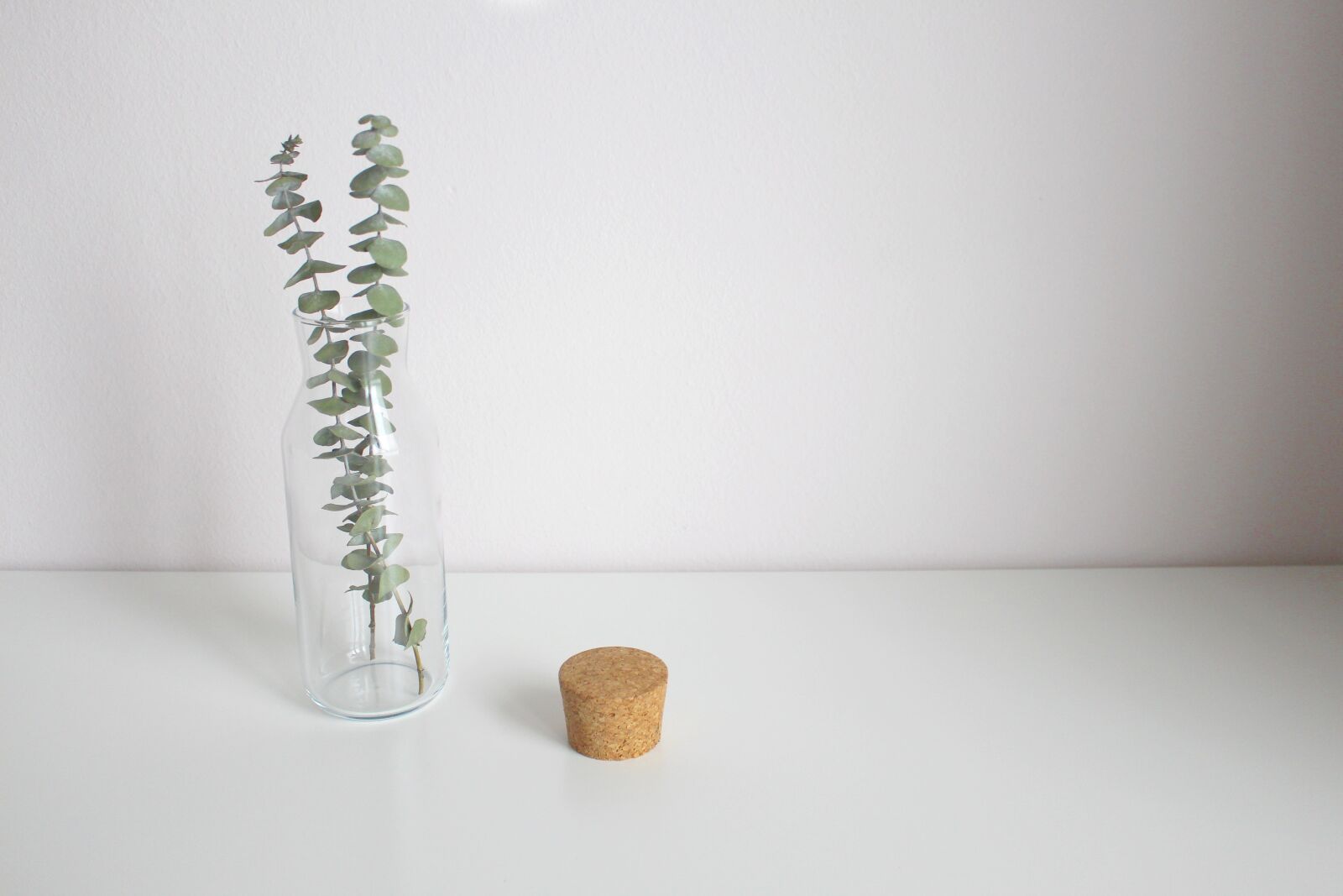 Canon EOS 700D (EOS Rebel T5i / EOS Kiss X7i) sample photo. Eucalyptus, leaves, vase photography