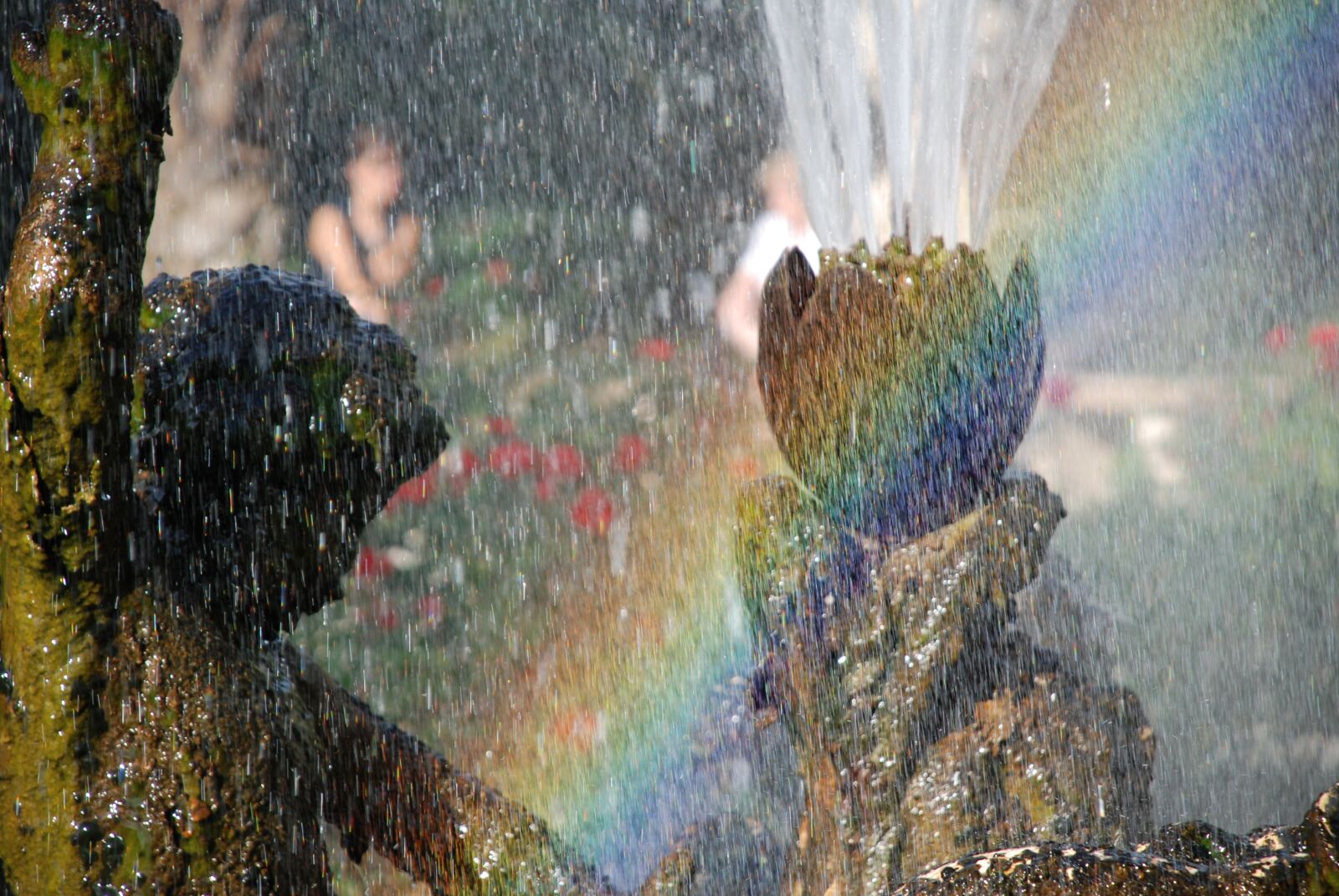 Nikon D80 sample photo. Sanremo, the riviera of photography