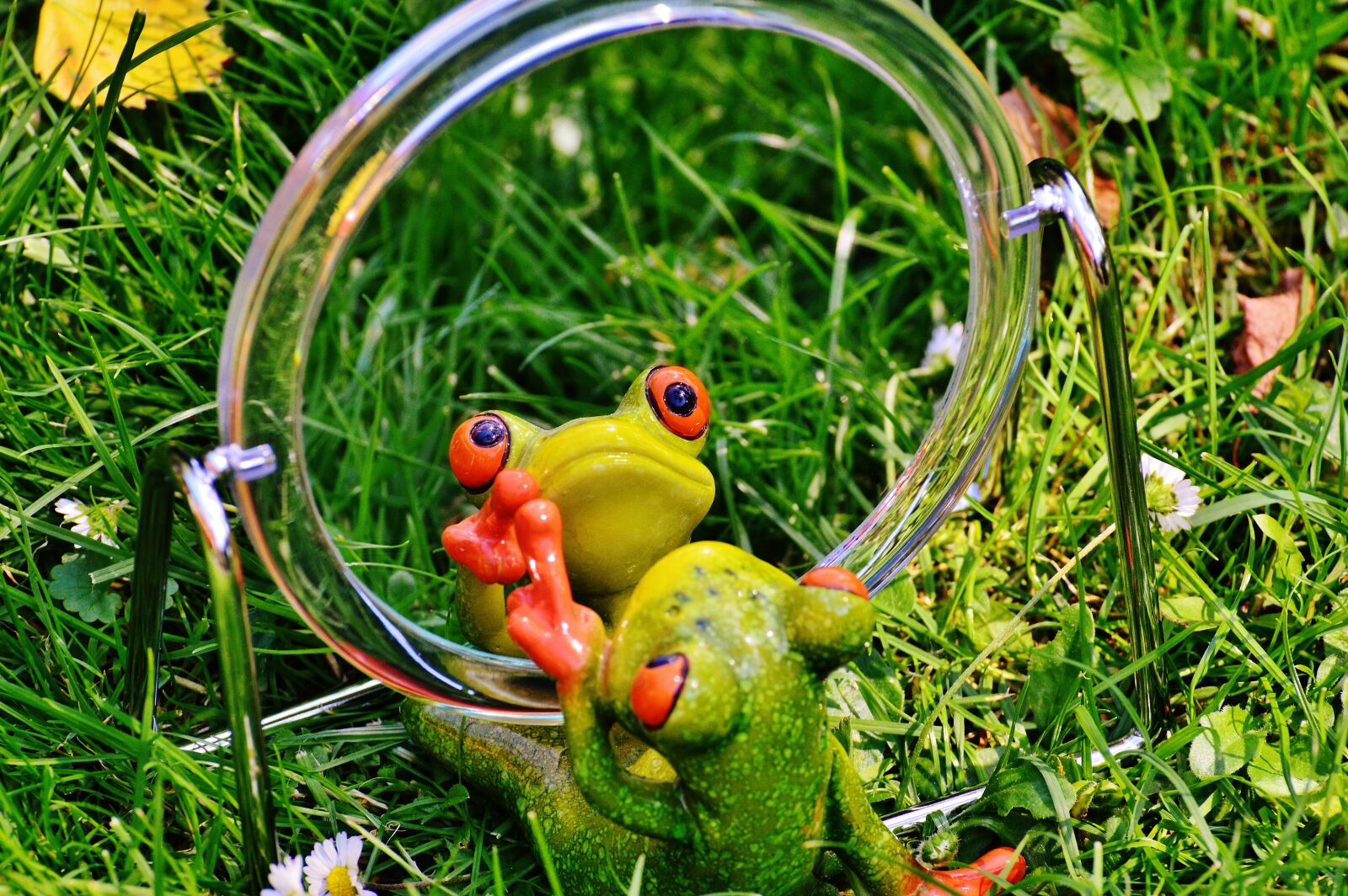 Nikon D3200 sample photo. Frog, mirror, mirror image photography