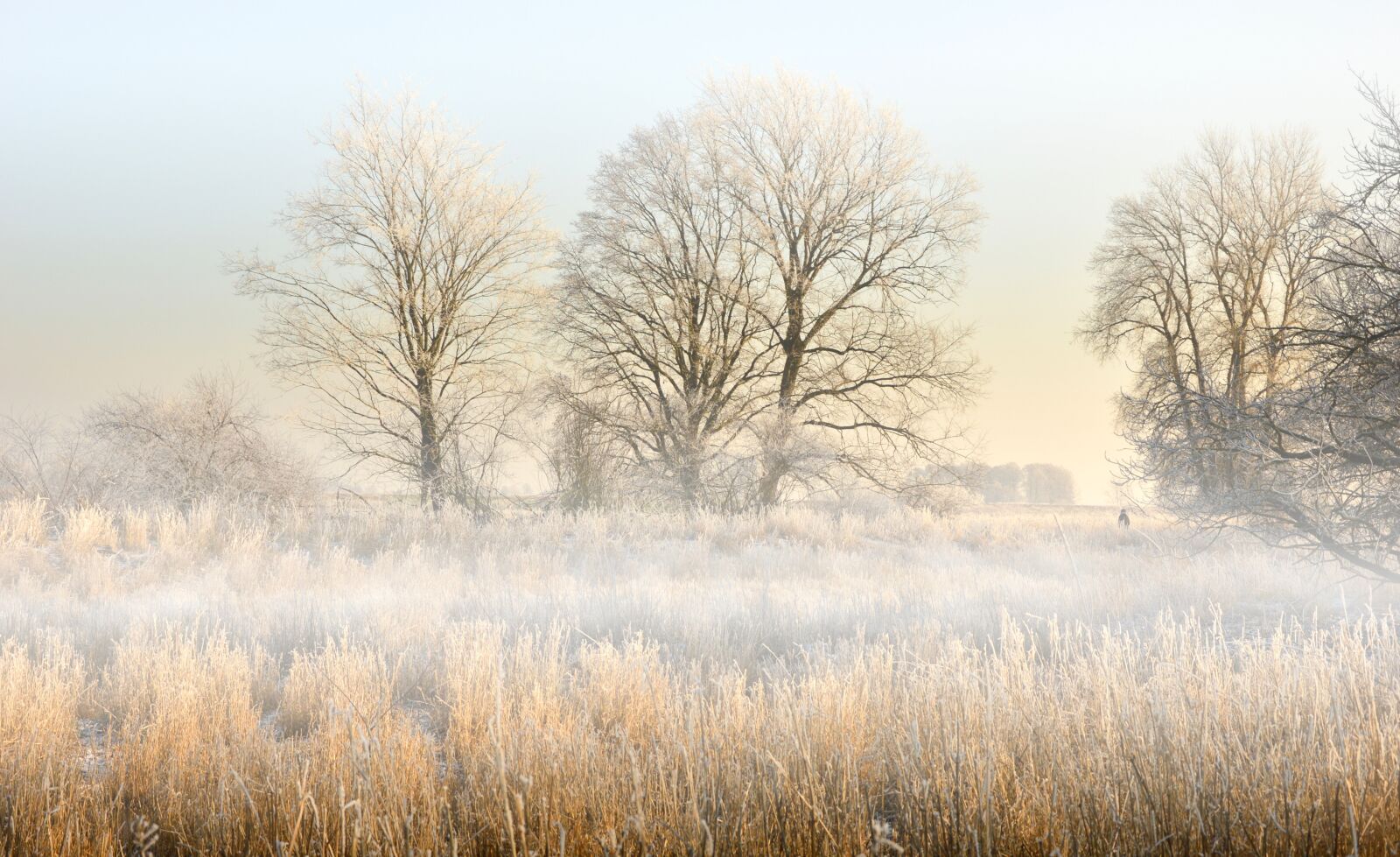 Nikon D3200 sample photo. Landscape, aue, or meadows photography