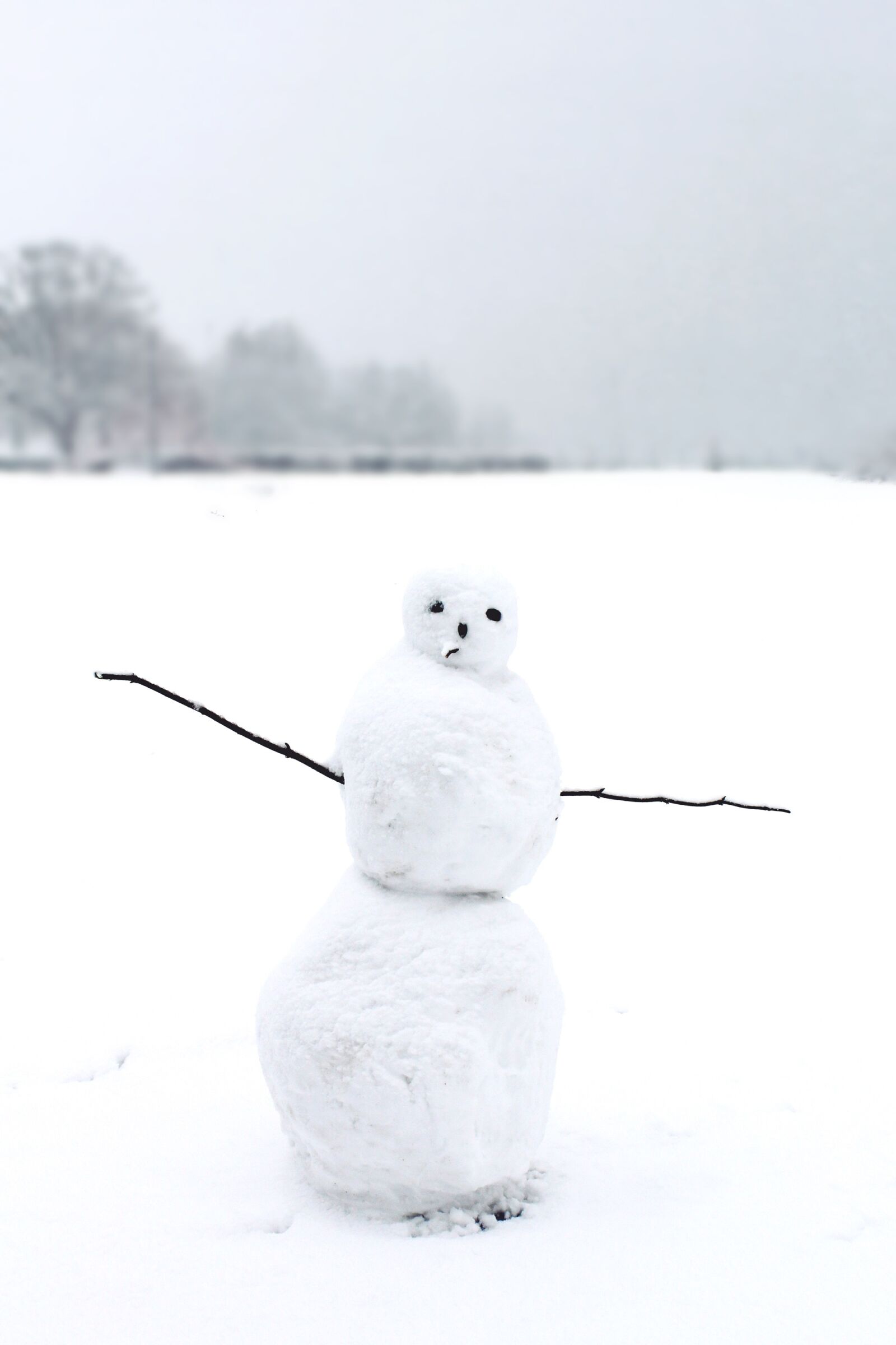 Canon EOS 1200D (EOS Rebel T5 / EOS Kiss X70 / EOS Hi) sample photo. Snowman, snow, winter photography