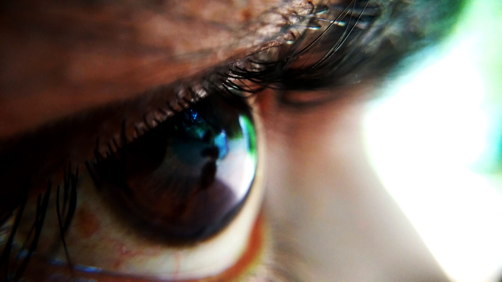 Xiaomi MI3 sample photo. Eye, eyebrows, eyelashes, eyes photography