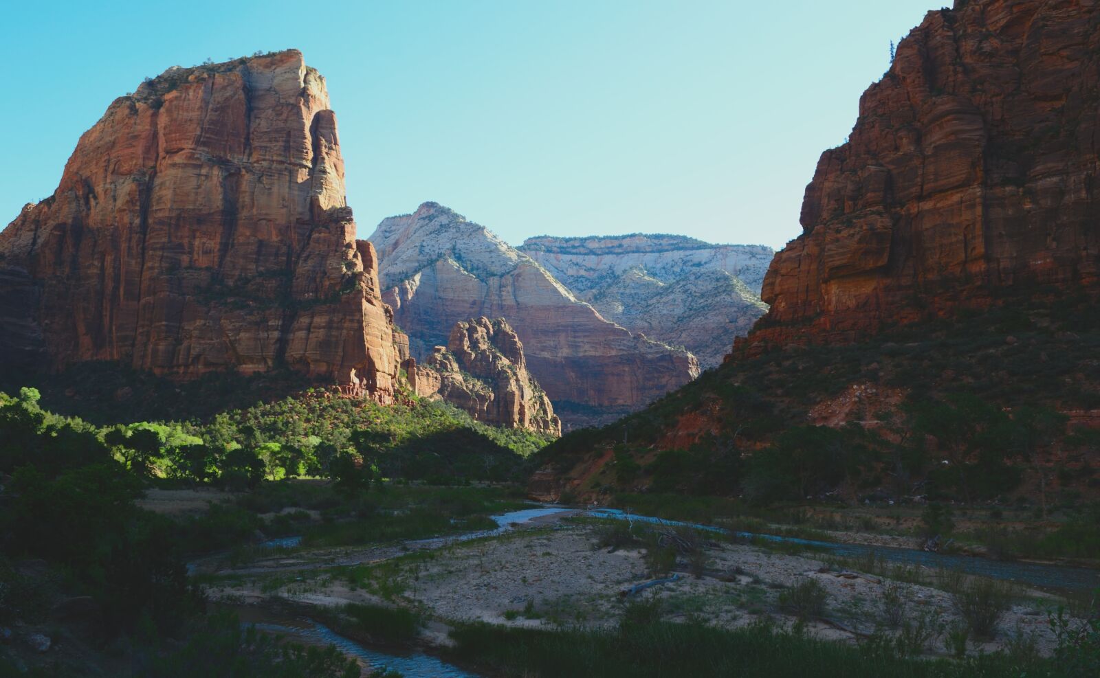 Nikon D3100 sample photo. Zion, red rock, morning photography