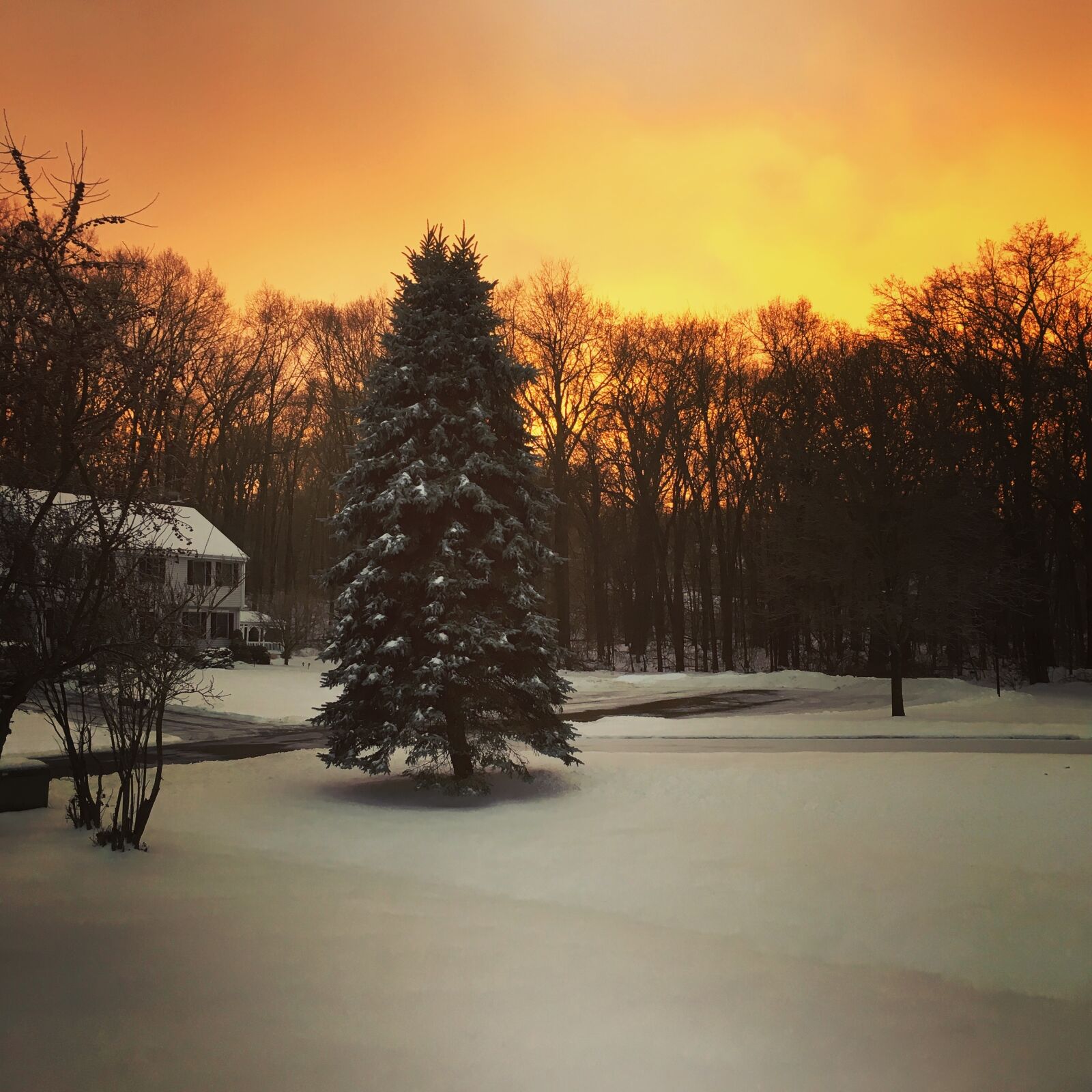 Apple iPhone 6s sample photo. Winter scene, snow, morning photography
