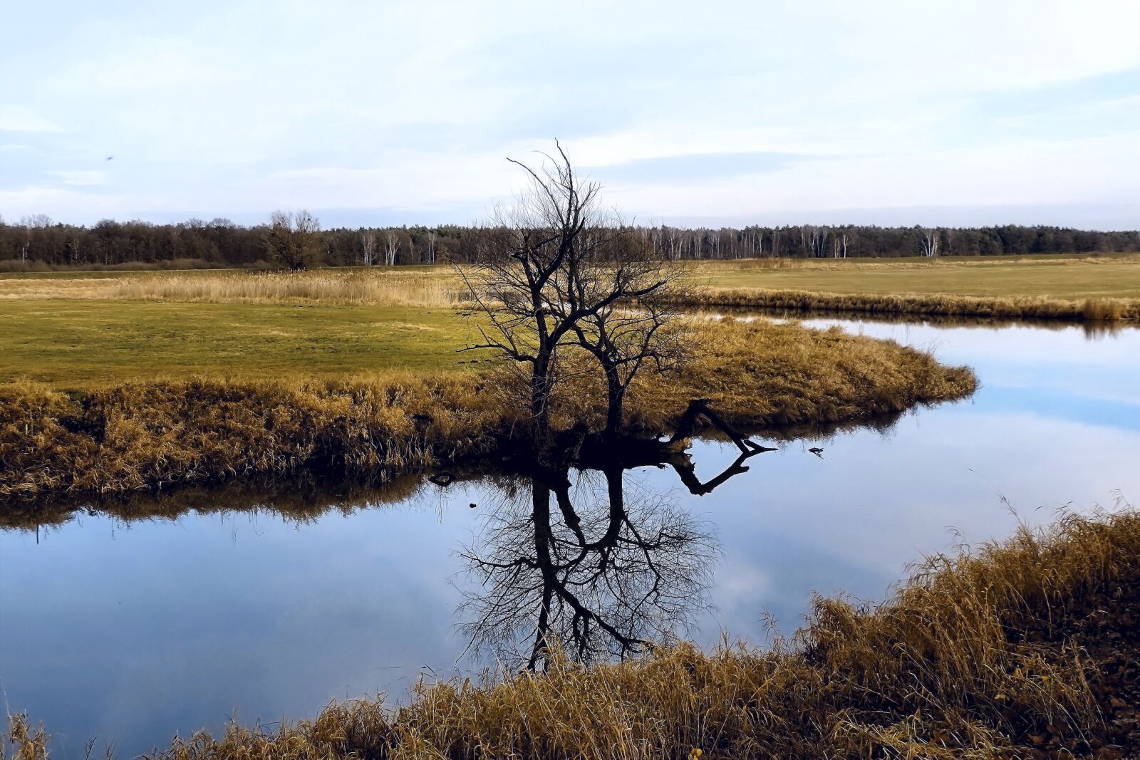 Nikon Coolpix P520 sample photo. River, tree, mirroring photography