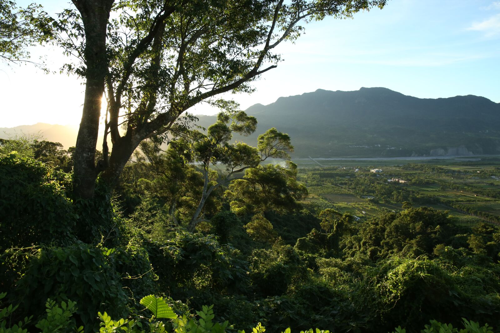 Canon EF 24-105mm F3.5-5.6 IS STM sample photo. Landscape, rural, light photography