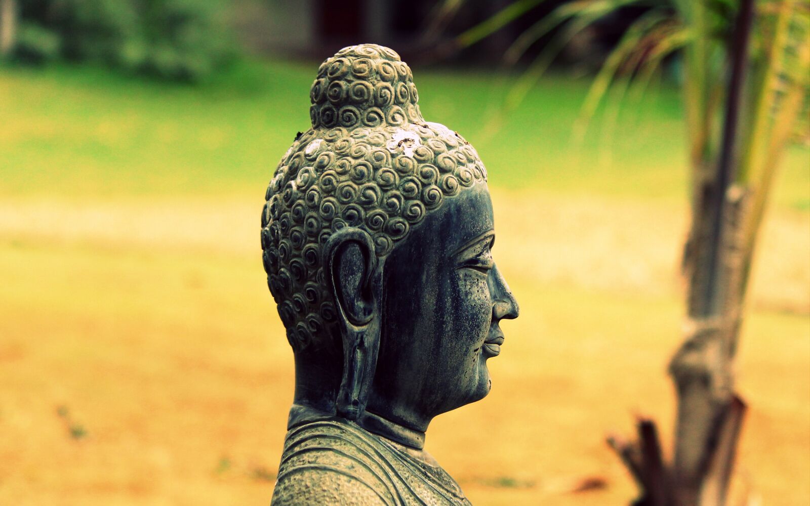 Canon EOS 700D (EOS Rebel T5i / EOS Kiss X7i) sample photo. Lord buddha, garden, religion photography