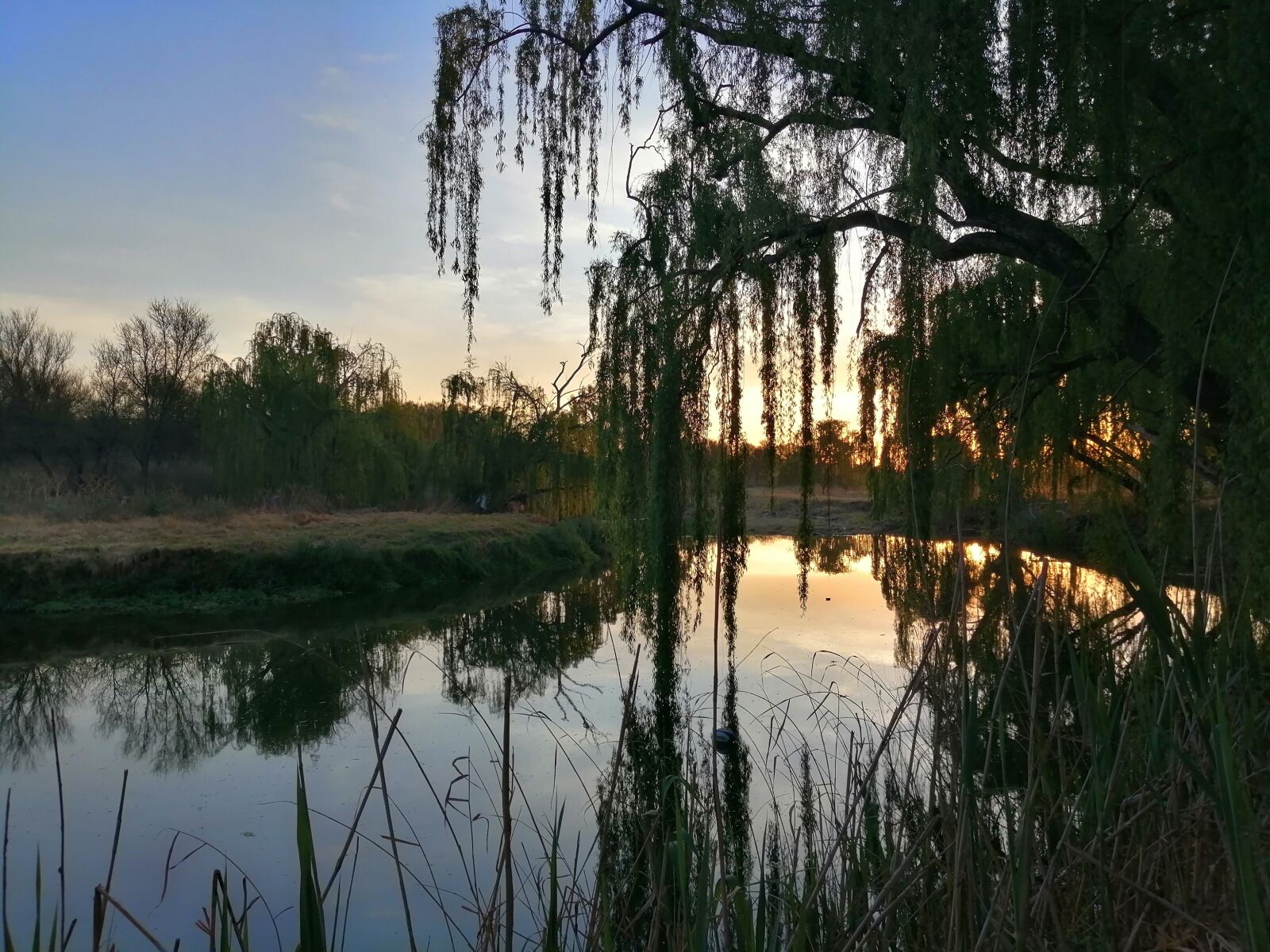 HUAWEI P SMART 2019 sample photo. River, sunset, nature photography