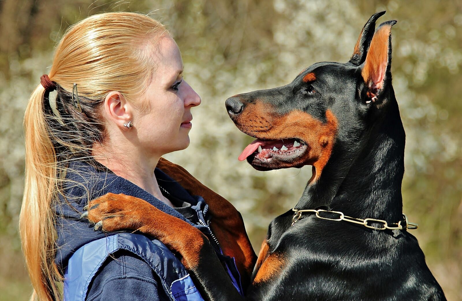 Canon EOS 600D (Rebel EOS T3i / EOS Kiss X5) sample photo. Doberman, dog, hug photography