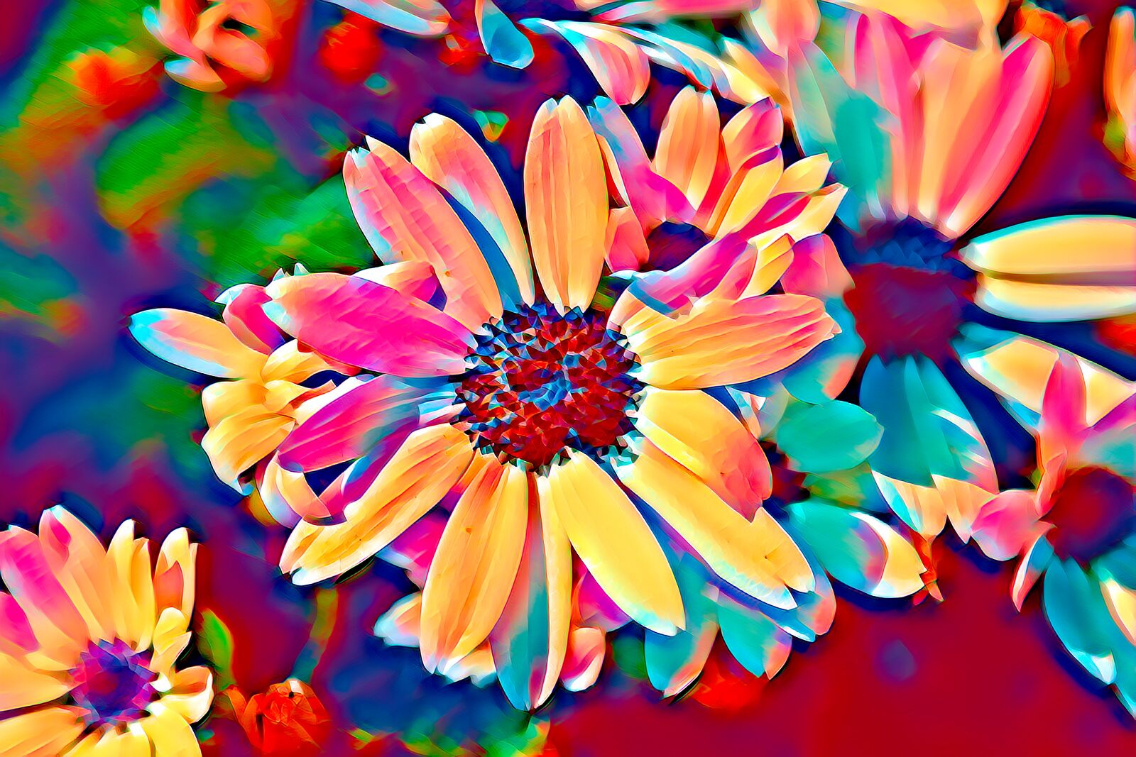 Canon EOS 90D sample photo. Flowers, anemone hortensis, broad-leaved photography