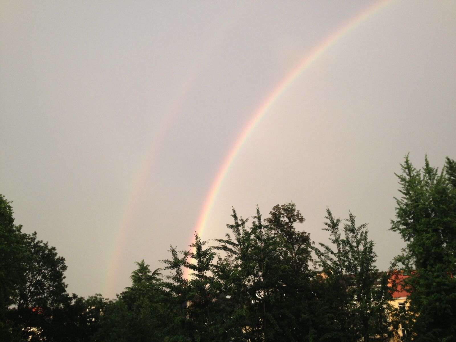 Apple iPhone 4S sample photo. Rainbow, grey sky, tree photography