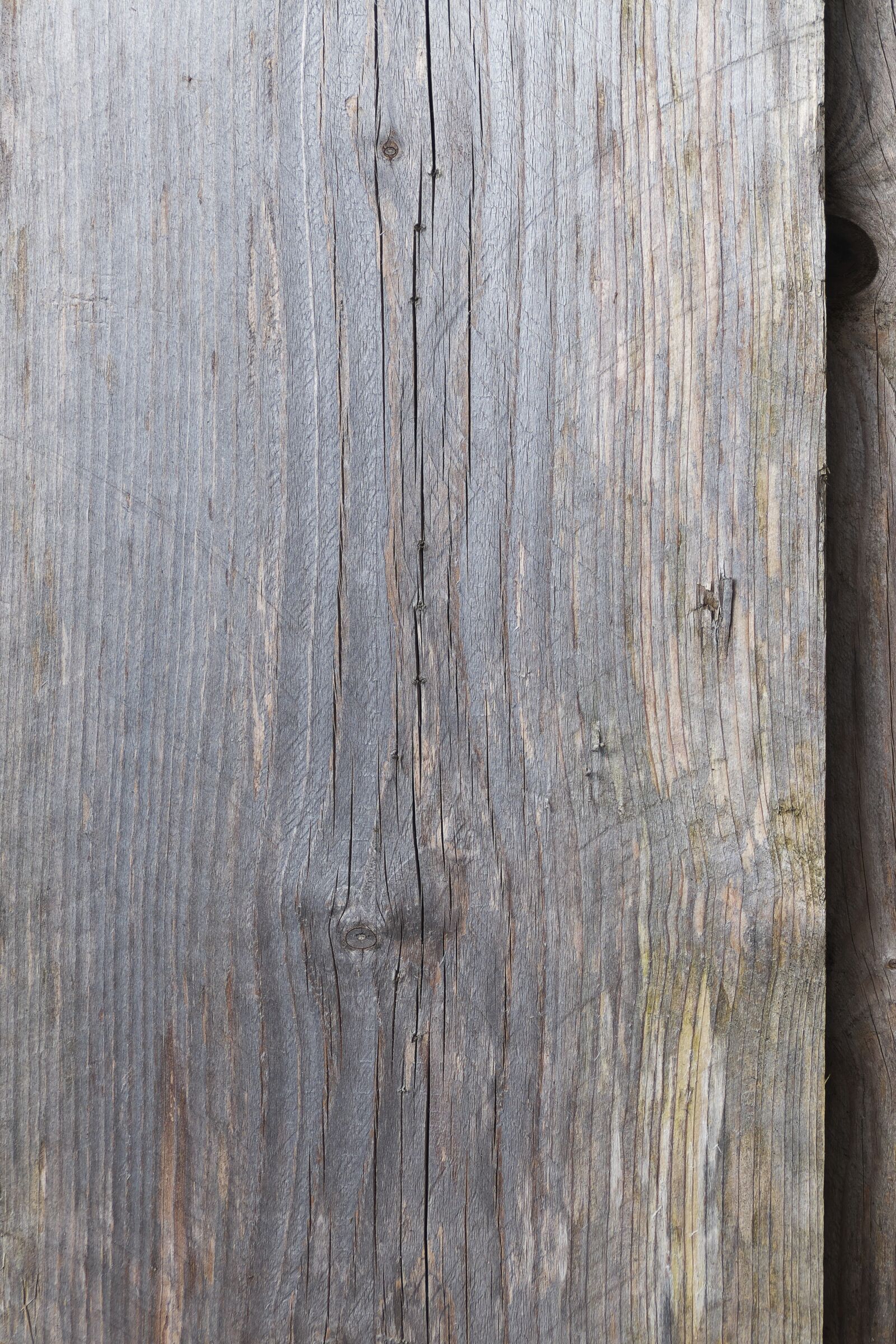 Panasonic Lumix DMC-FZ1000 sample photo. Woods, board, wooden board photography