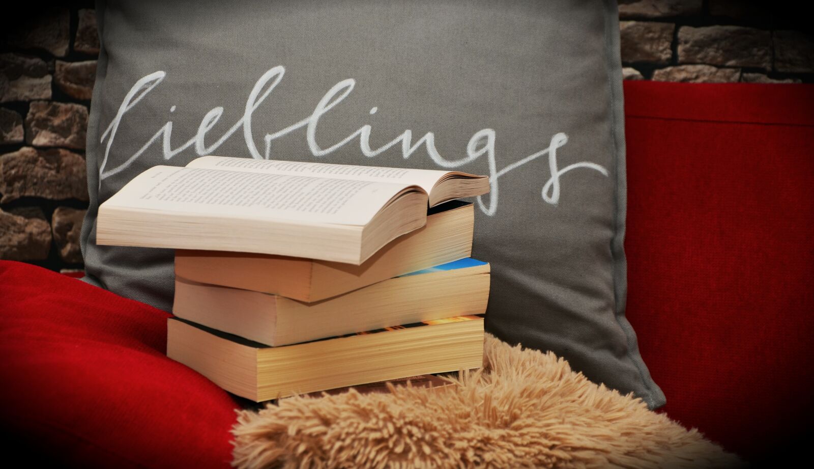 Nikon D5100 sample photo. Books, book, favorite book photography
