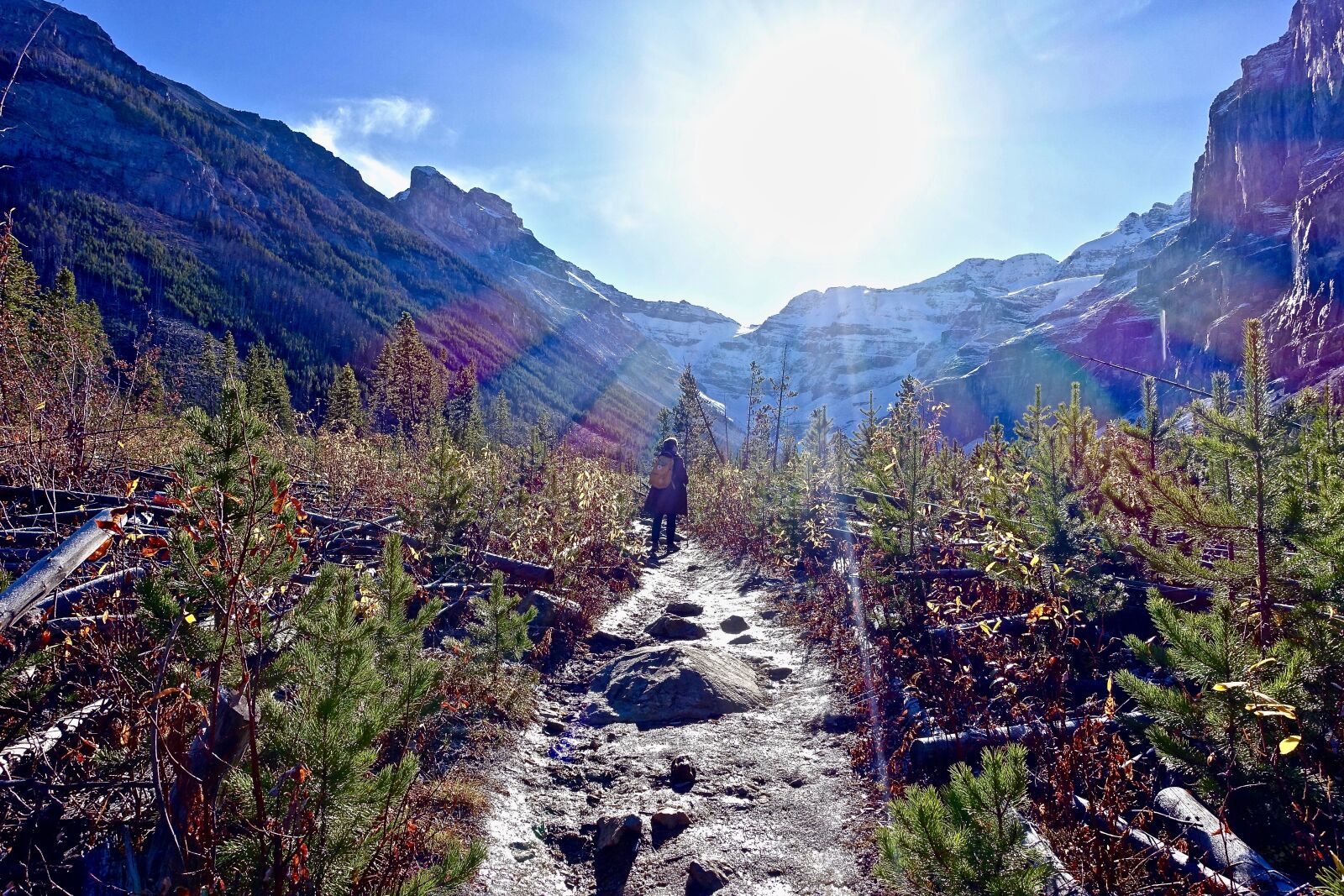 Sony Cyber-shot DSC-RX100 III sample photo. Path, sunlight, trekking photography
