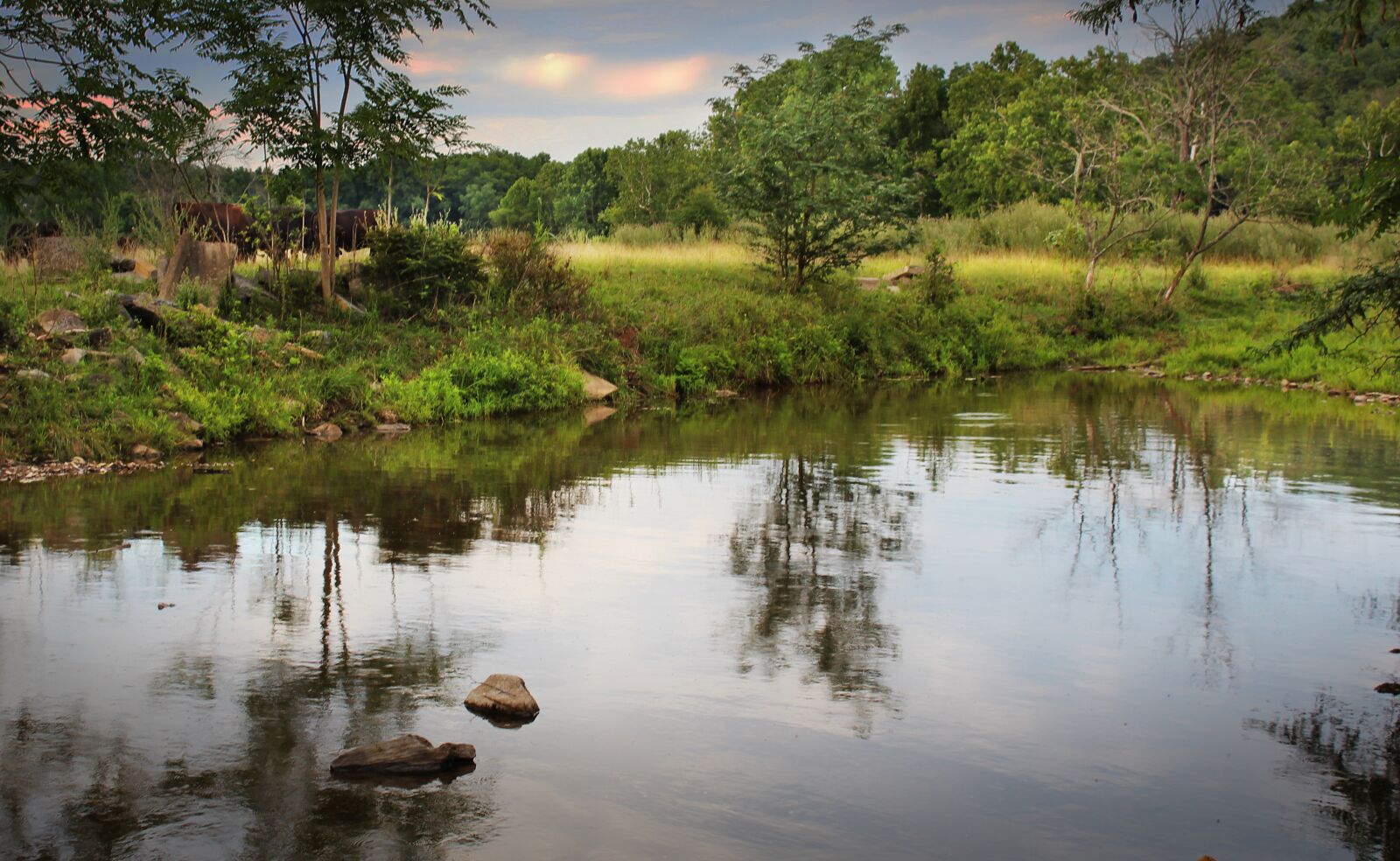 Canon EOS 600D (Rebel EOS T3i / EOS Kiss X5) sample photo. Shenandoah valley, virginia, stream photography