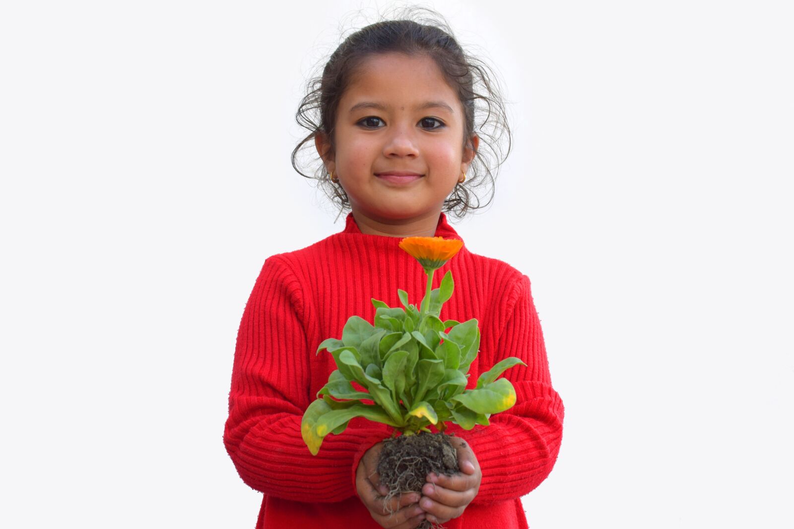 Nikon D5300 sample photo. Plant, kid, nature photography