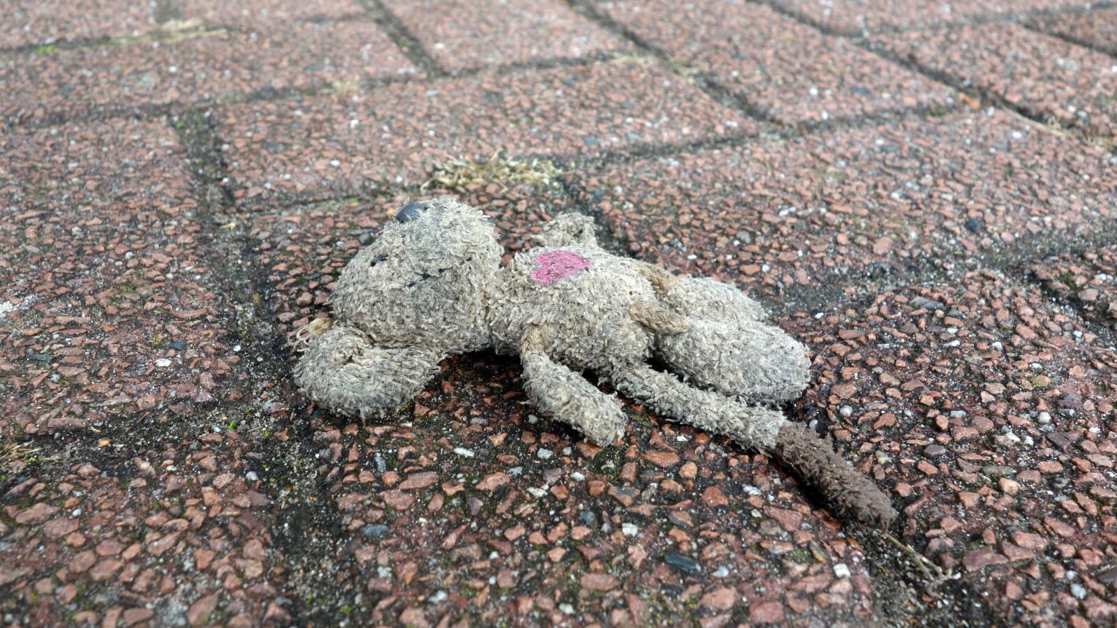 Sony Cyber-shot DSC-RX100 sample photo. Mouse, lost, victim of photography