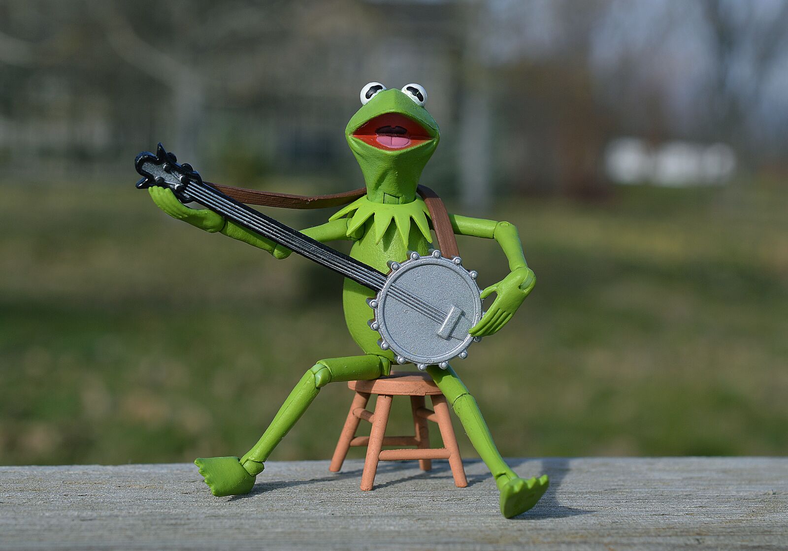 Nikon D3200 sample photo. Kermit, frog, muppet photography