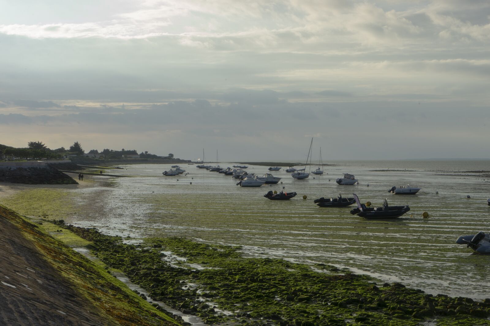 Sony a7 II + Sony Vario Tessar T* FE 24-70mm F4 ZA OSS sample photo. Sea, ebb, coast photography