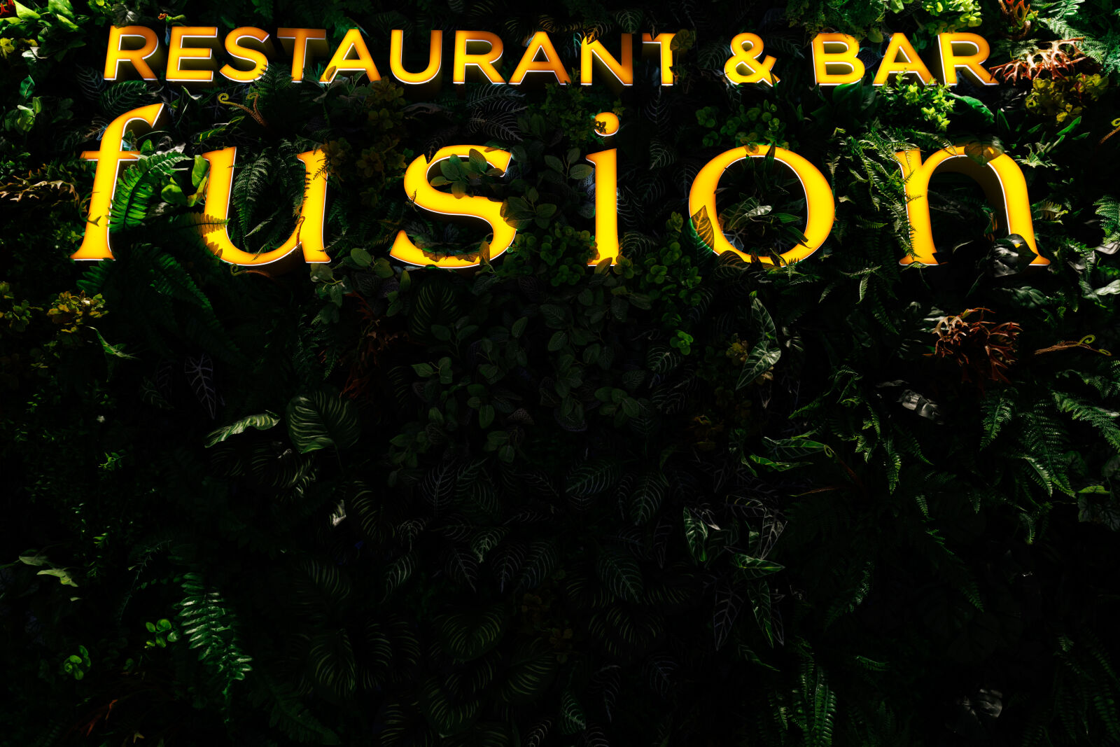 Tamron 11-20mm F2.8 Di III-A RXD sample photo. Fusion restaurant photography