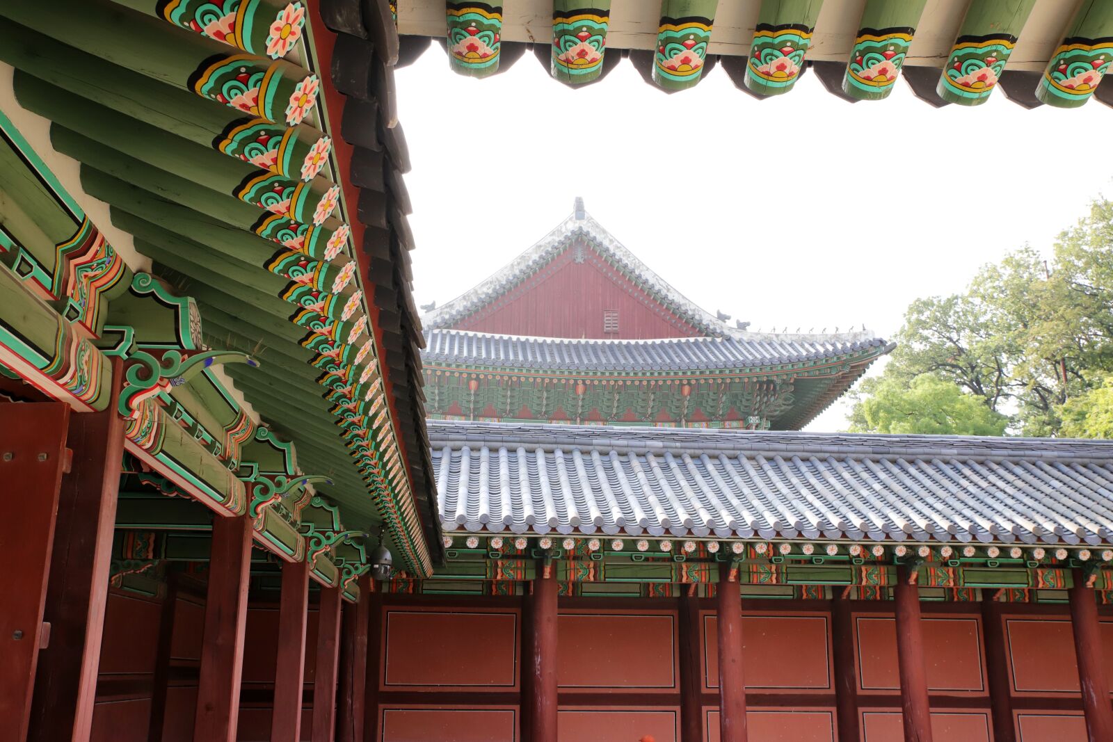 Canon EOS 6D Mark II sample photo. Mono, changdeokgung, forbidden city photography