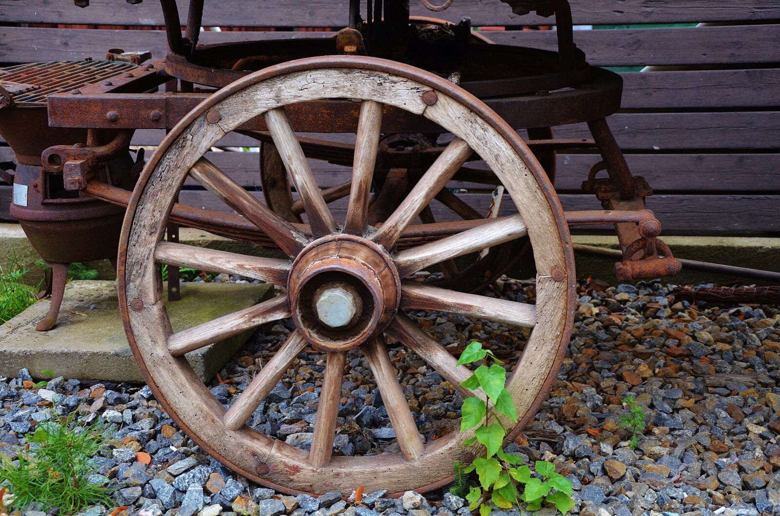 Nikon D7000 sample photo. Horse, carrige, travel photography