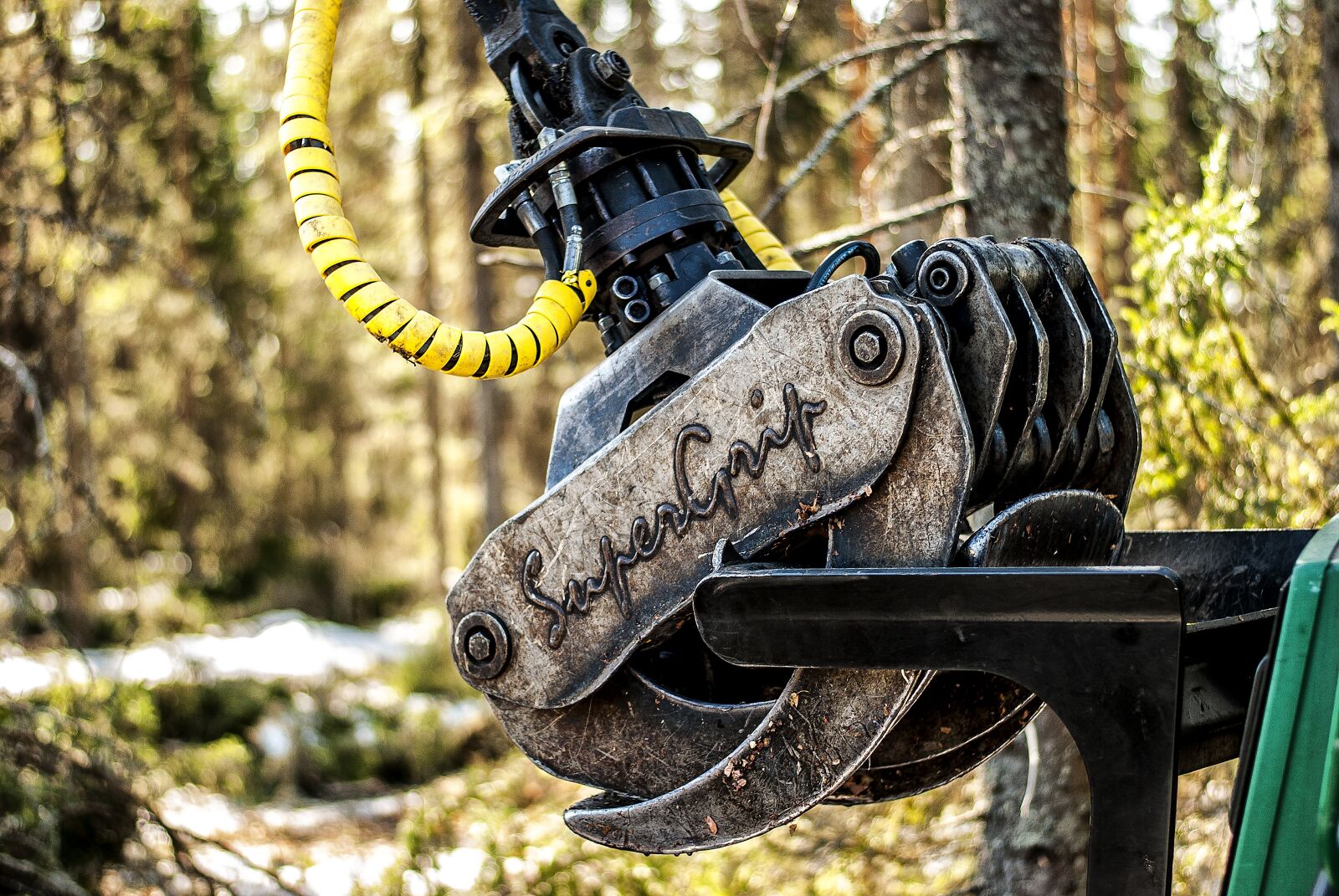 Nikon D80 sample photo. Forestry, forest, finnish photography
