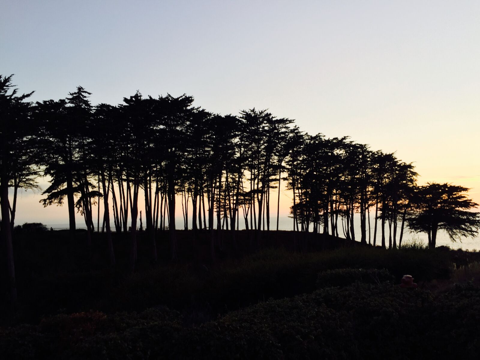 Apple iPhone 6 sample photo