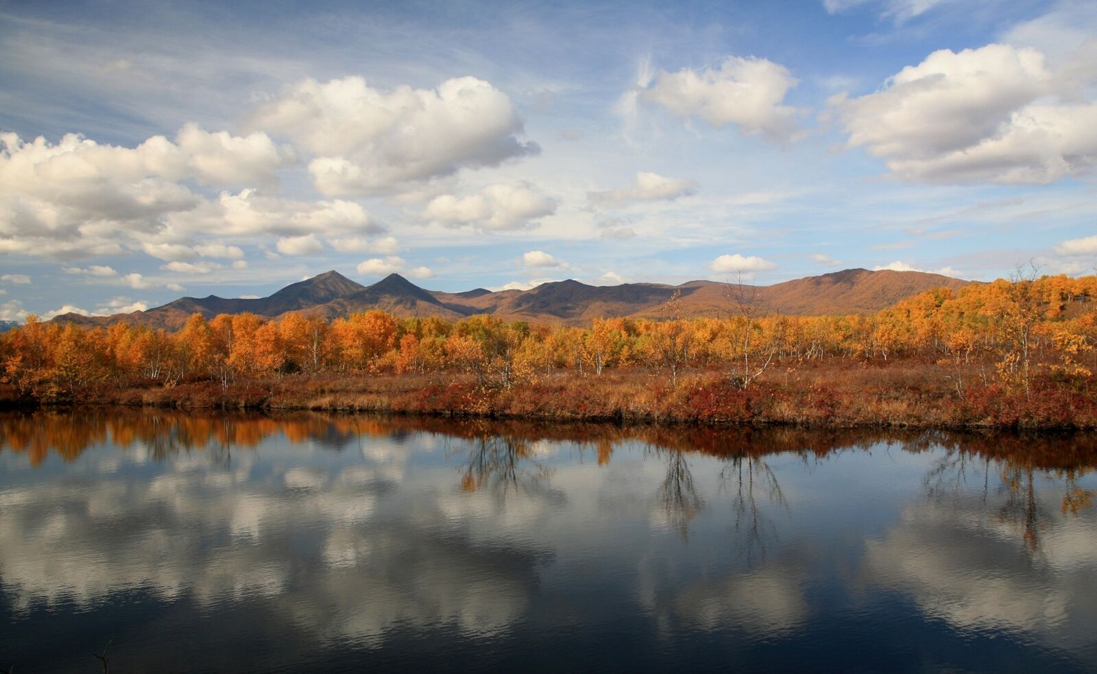 Canon EOS 5D sample photo. Autumn, forest, lake photography