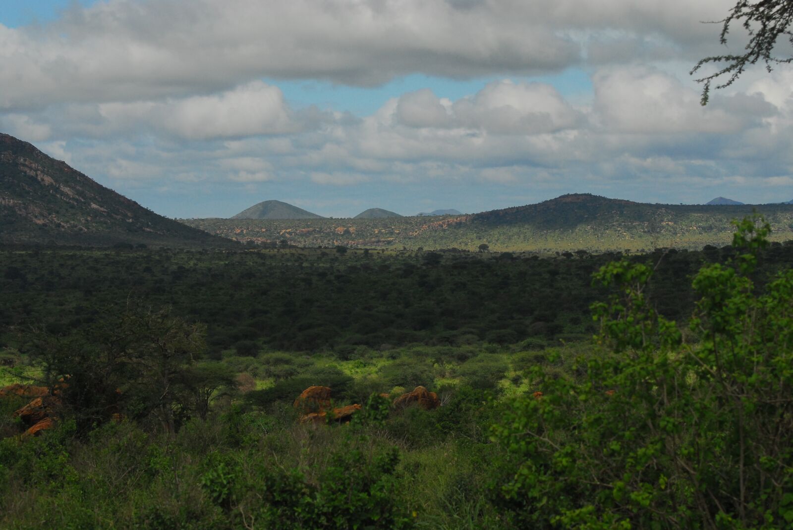 Nikon D200 sample photo. Tsavo, kenya, savannah photography
