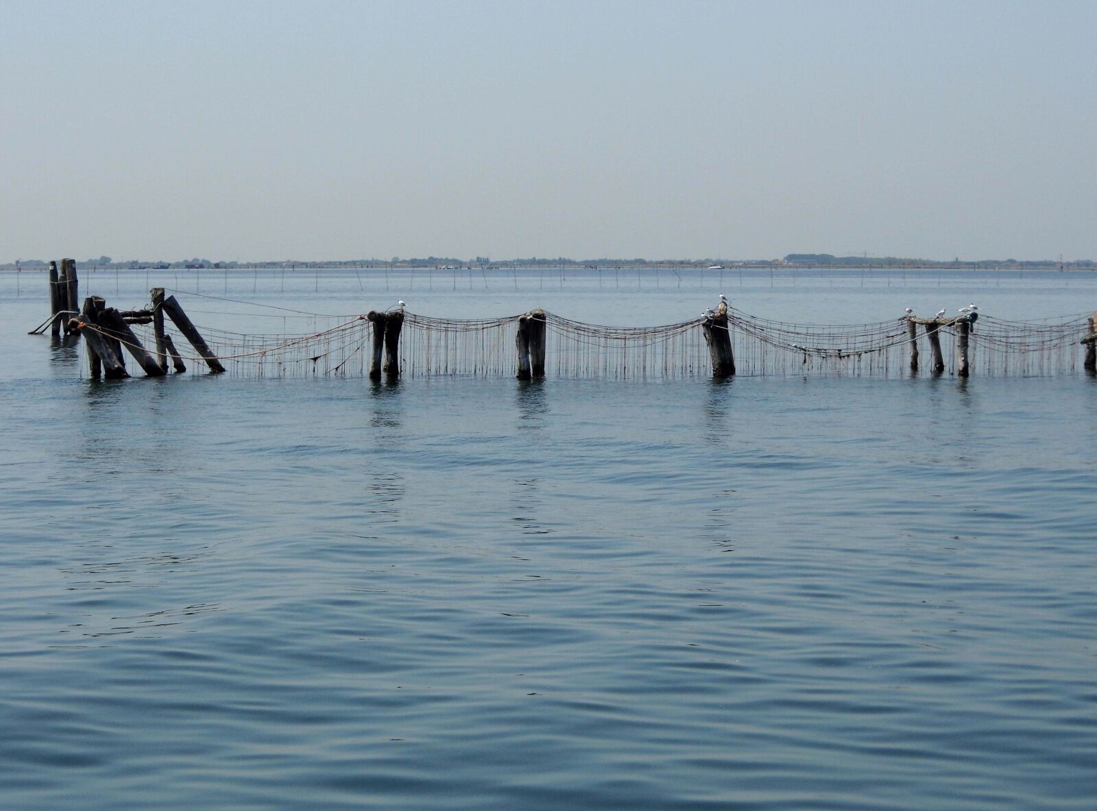 Benq GH600 sample photo. Mussel breeding, sea, water photography