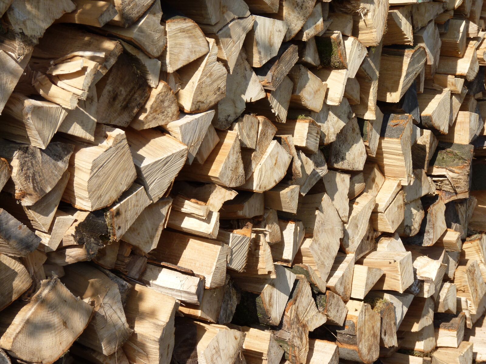 Panasonic Lumix DMC-FZ35 (Lumix DMC-FZ38) sample photo. Wood, stack, holzstapel photography