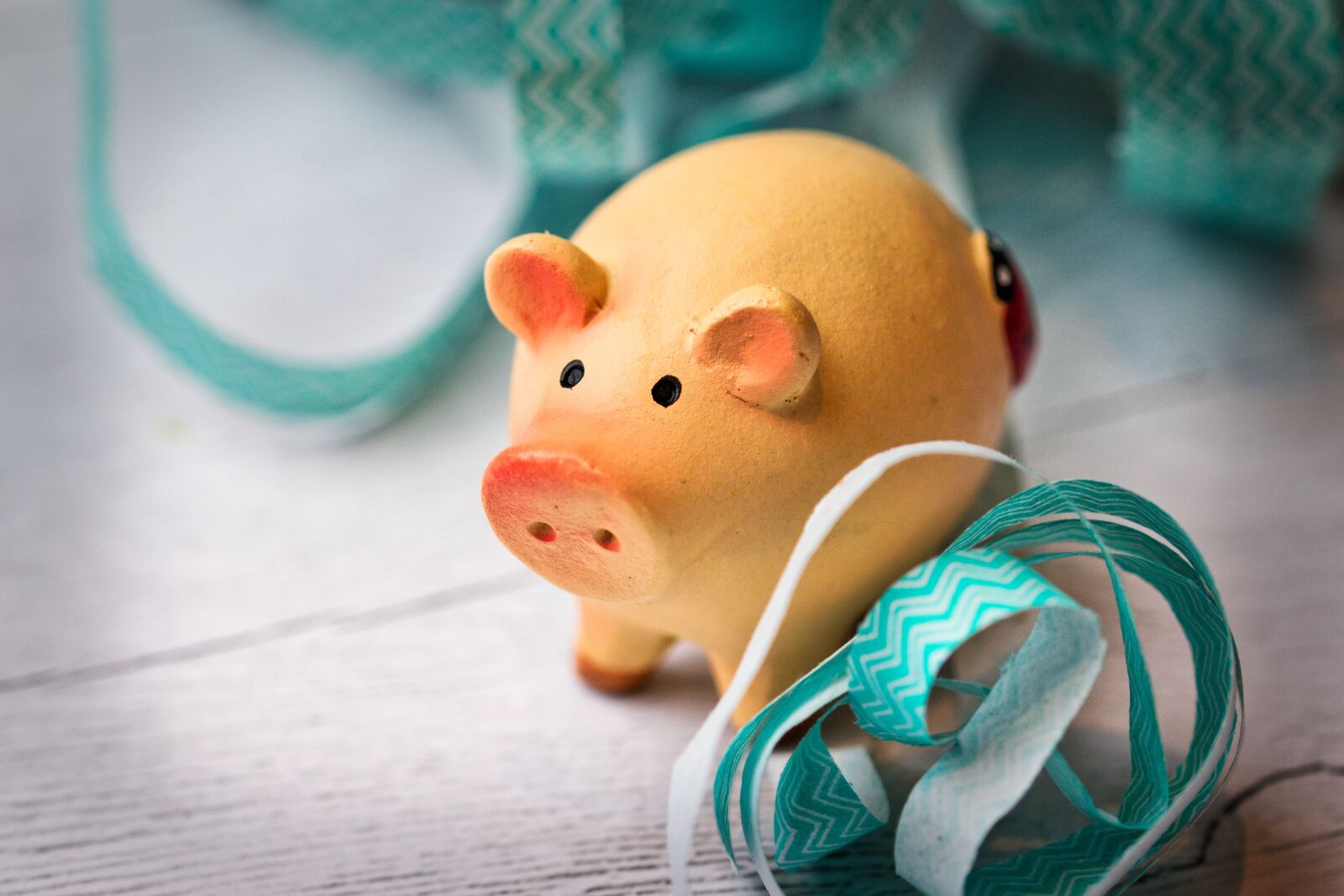 Canon EOS 200D (EOS Rebel SL2 / EOS Kiss X9) sample photo. Lucky pig, luck, lucky photography