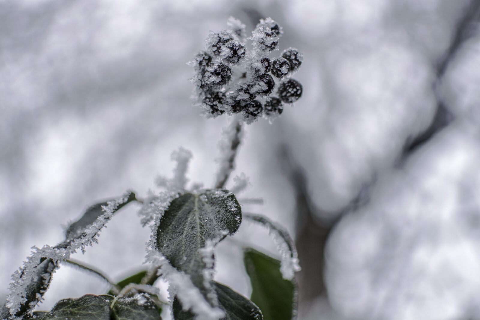Nikon D7100 sample photo. Ice, cold, winter photography