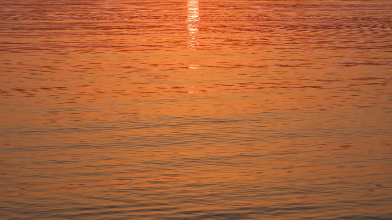 Fujifilm X20 sample photo. Sunset, summer, sunrise photography