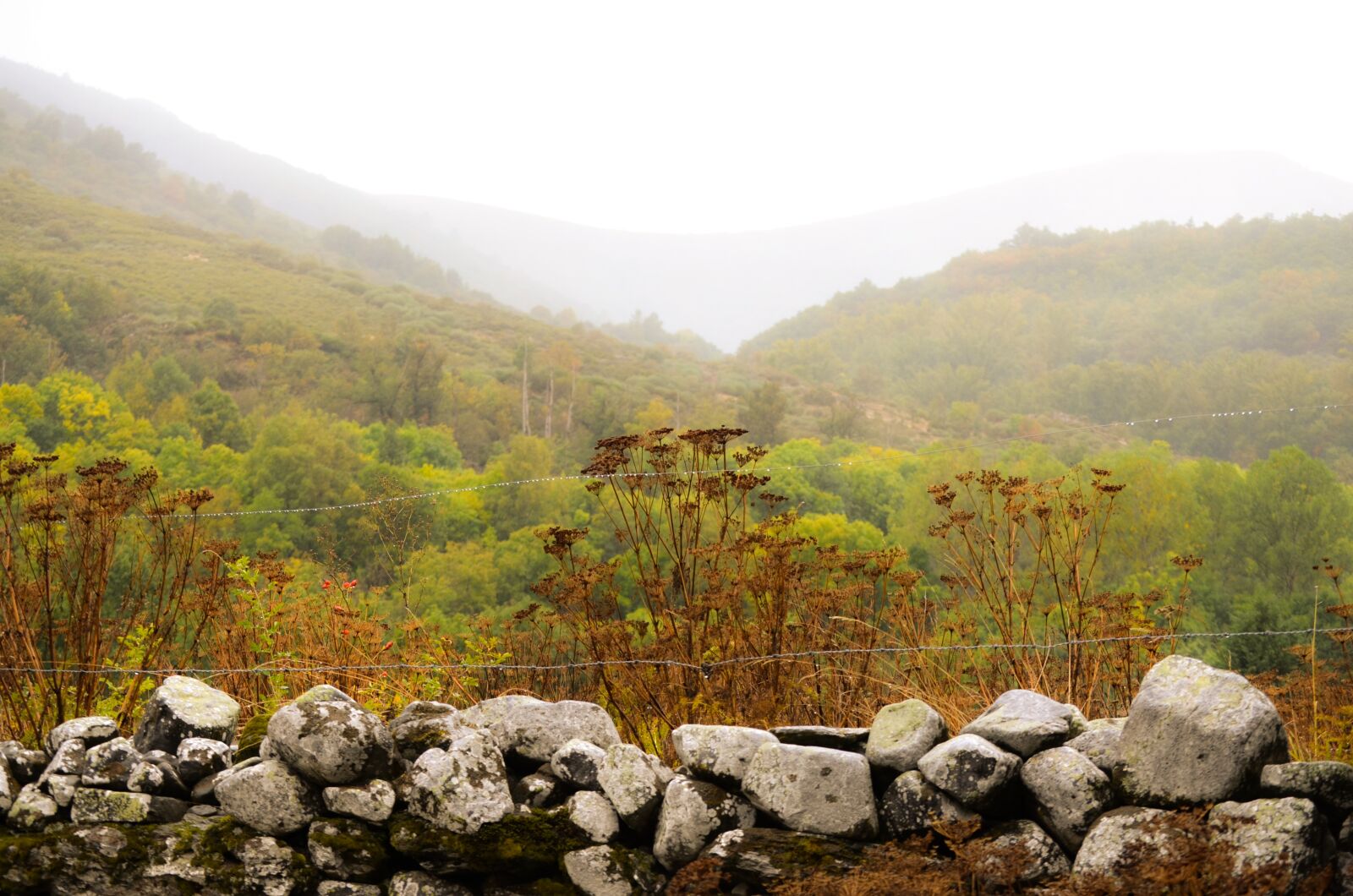Nikon D5100 sample photo. Landscape, mountains, mist photography