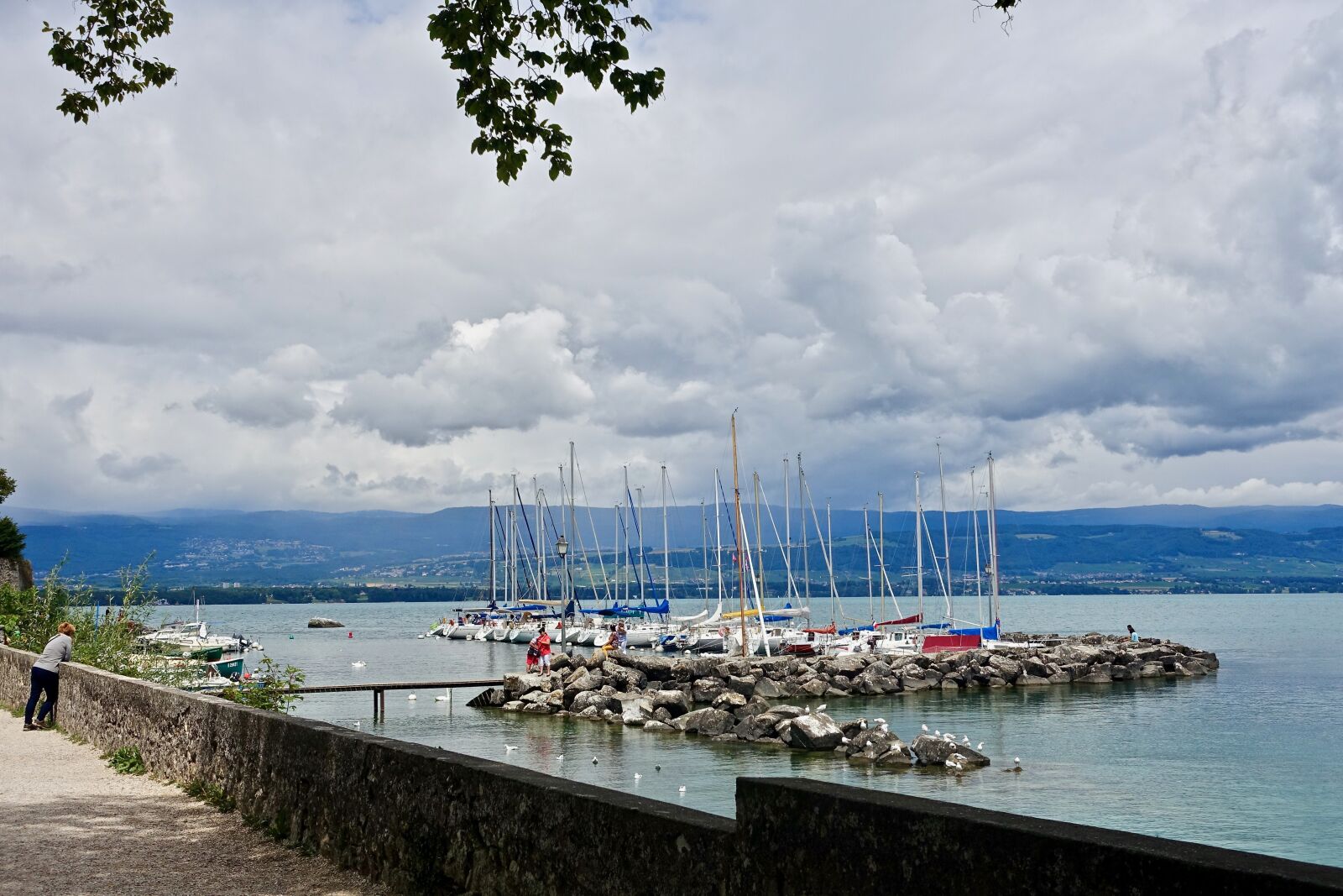 Sony Cyber-shot DSC-RX100 III sample photo. Marina, harbor, yachts photography