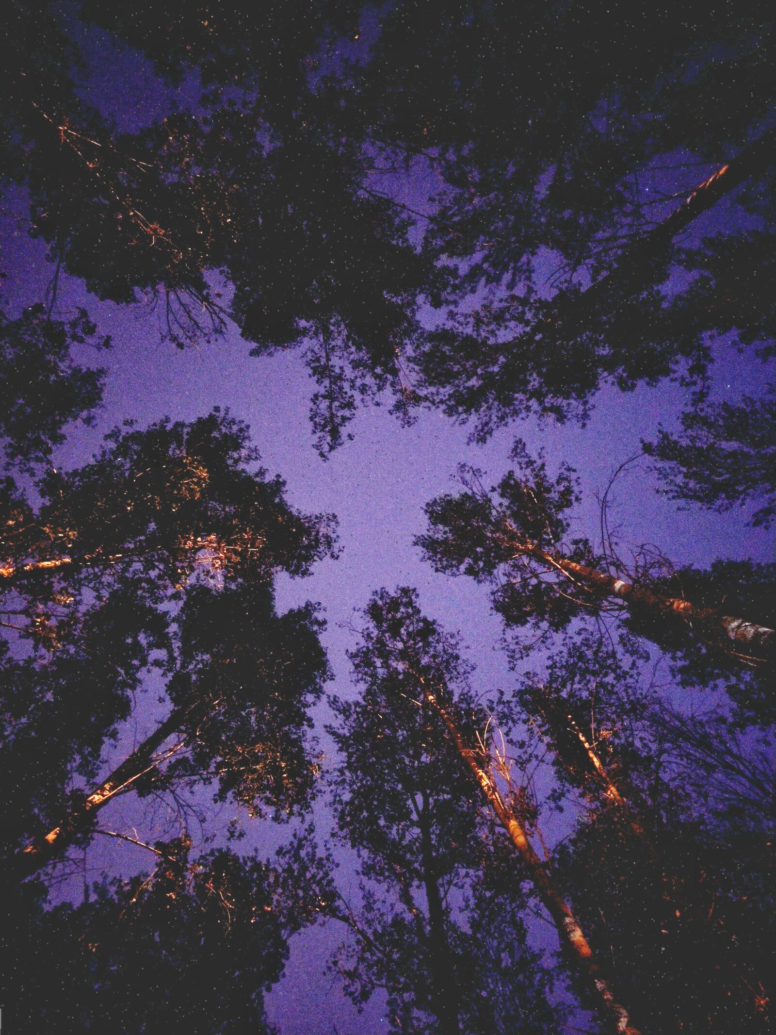 Samsung Galaxy S8+ sample photo. Night, peace, stars photography