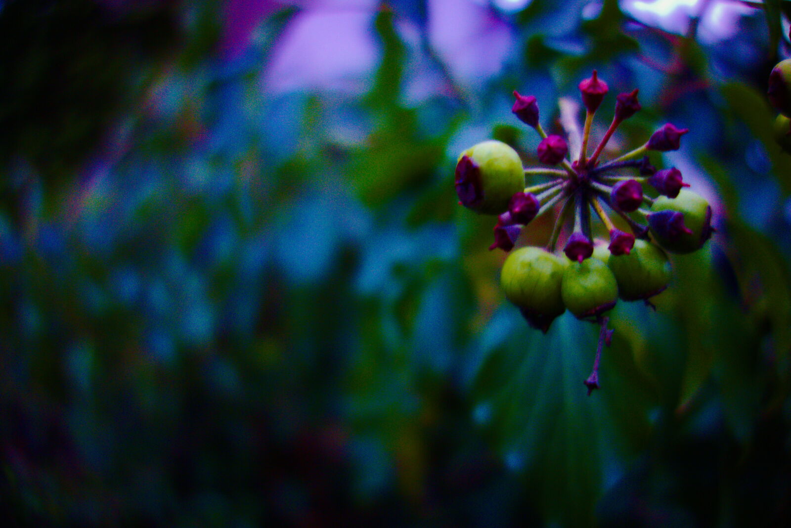 Sony Cyber-shot DSC-RX100 sample photo
