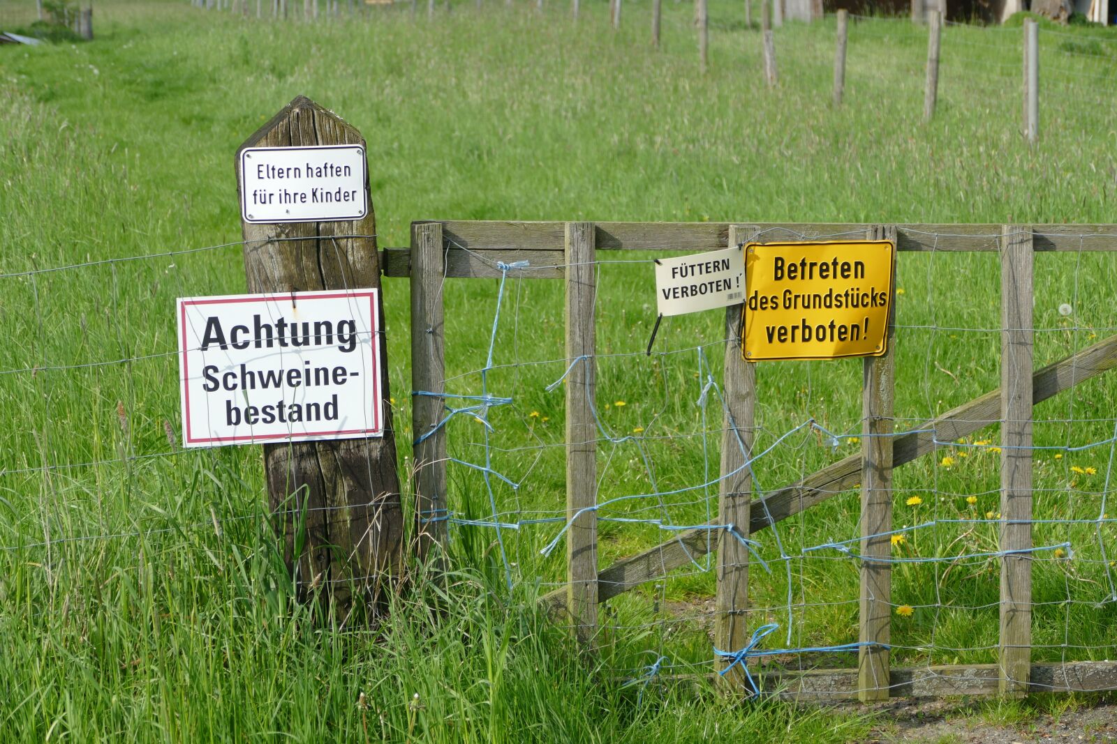 Panasonic Lumix DMC-FZ1000 sample photo. Signs, keeps, regulation photography